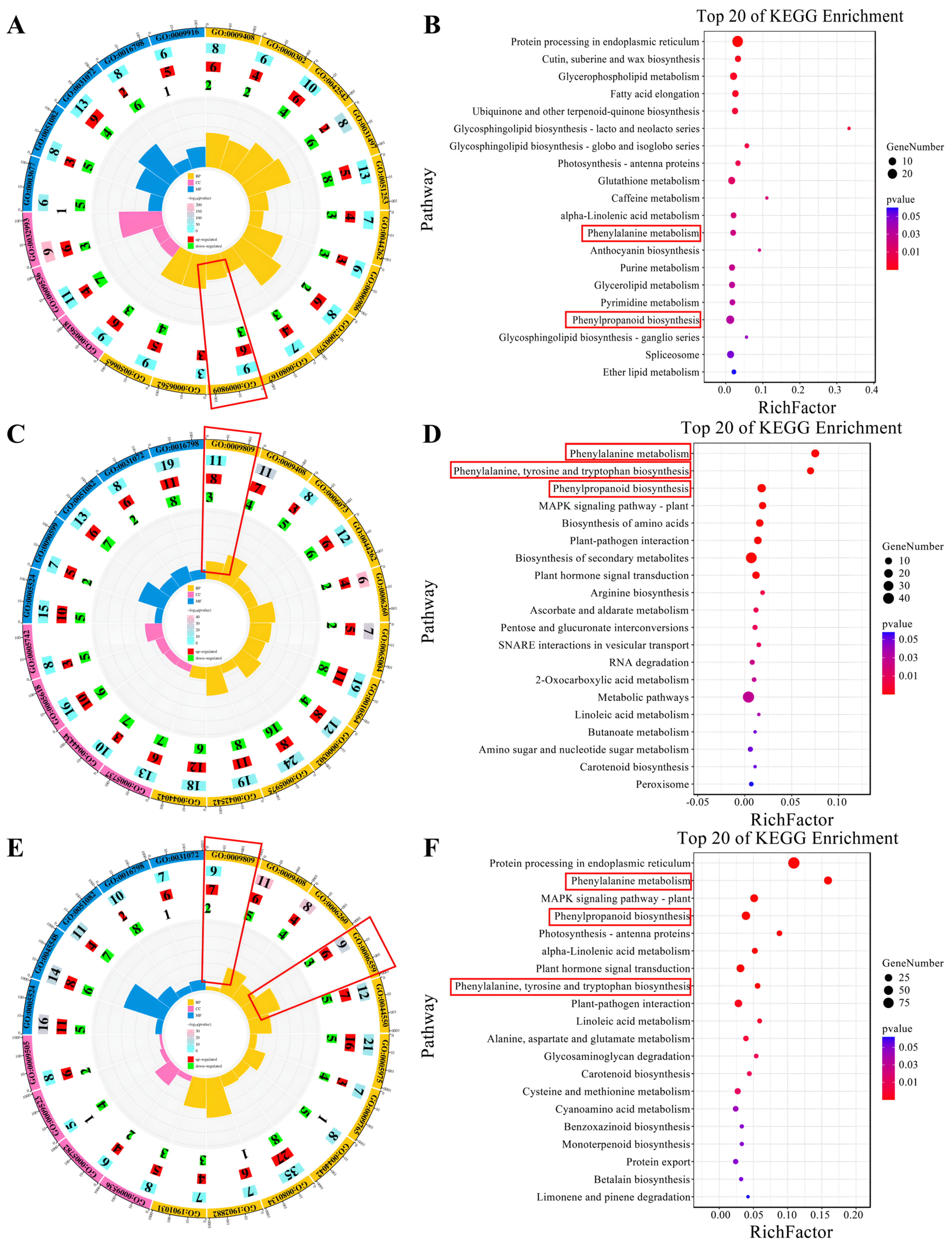 Plants 13 01832 g004