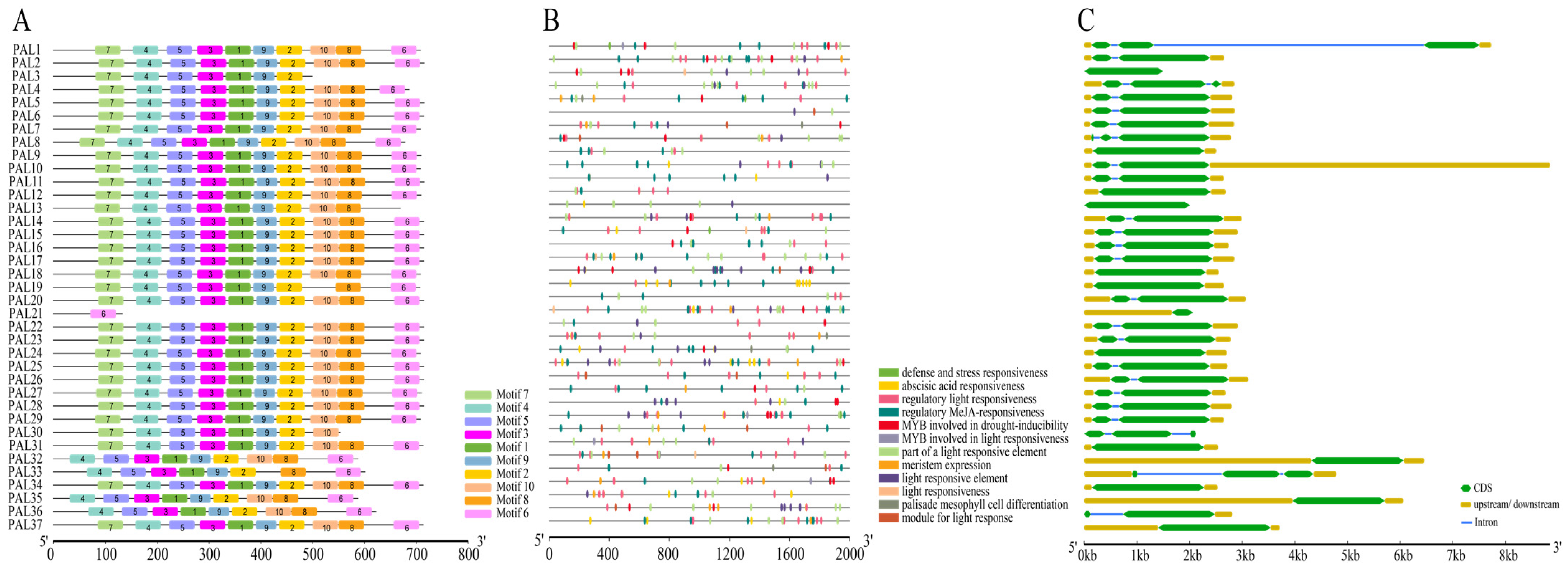 Plants 13 01832 g008