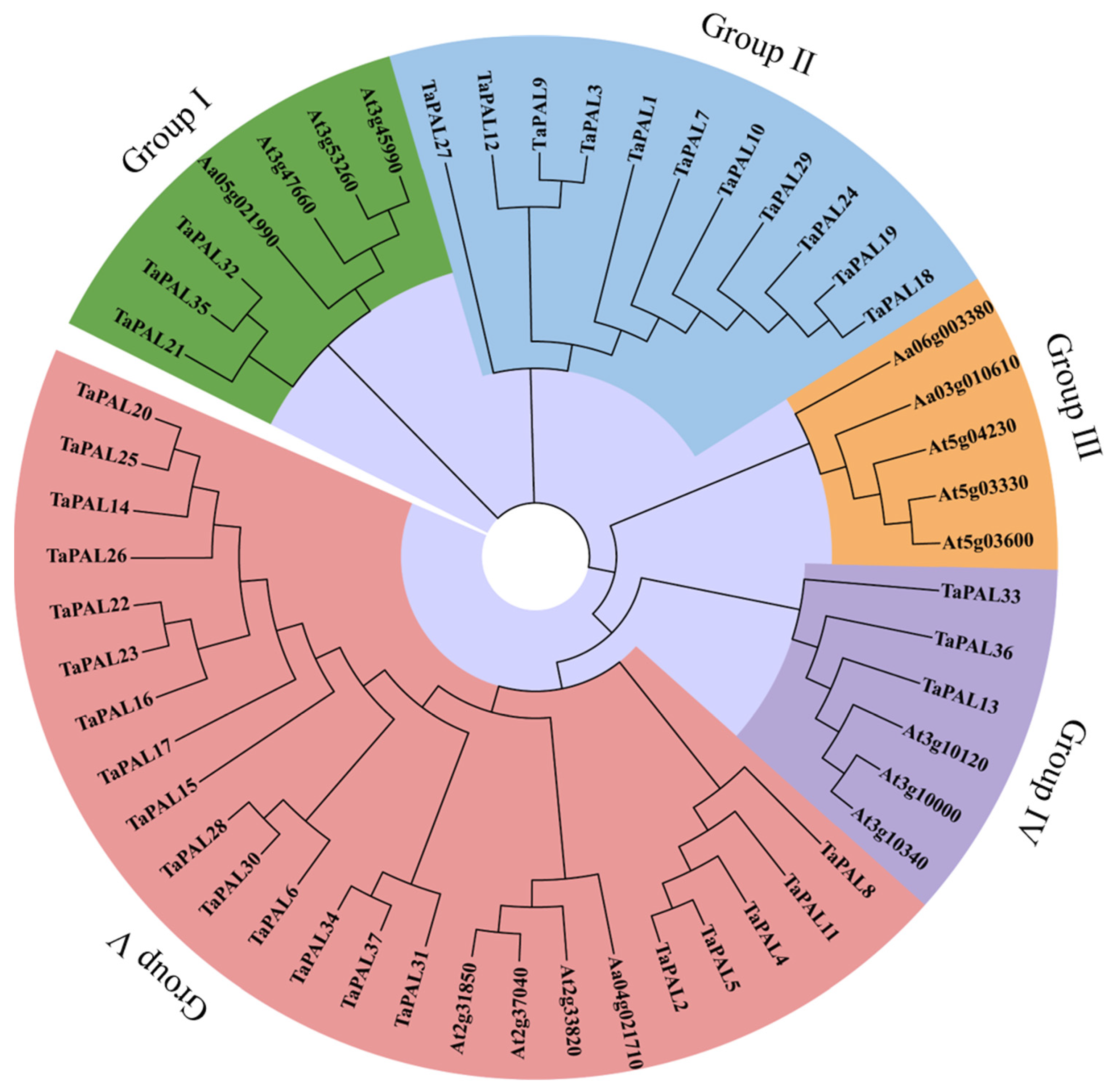 Plants 13 01832 g009