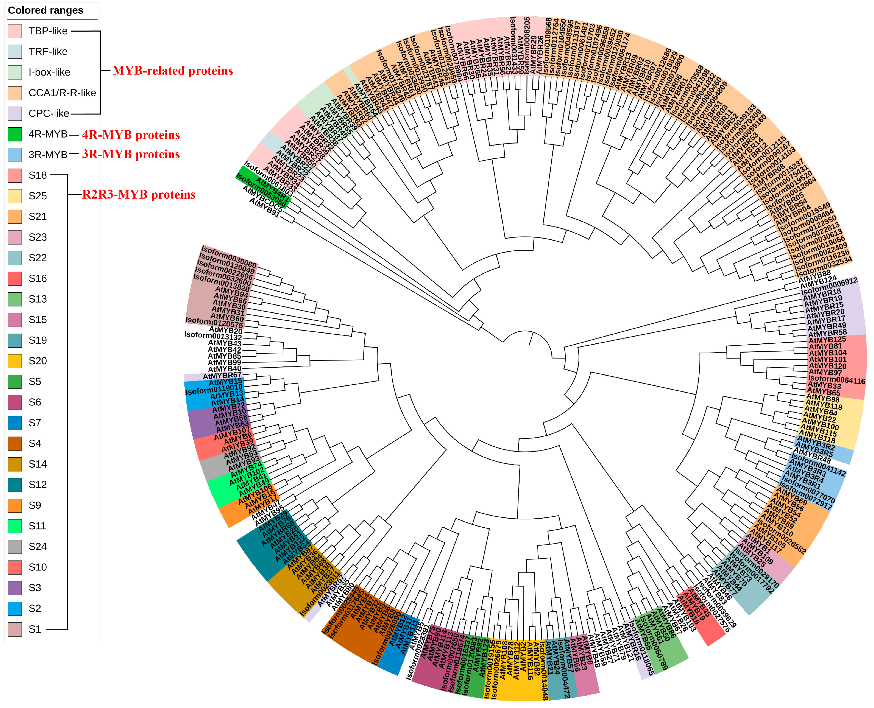 Plants 13 01837 g001
