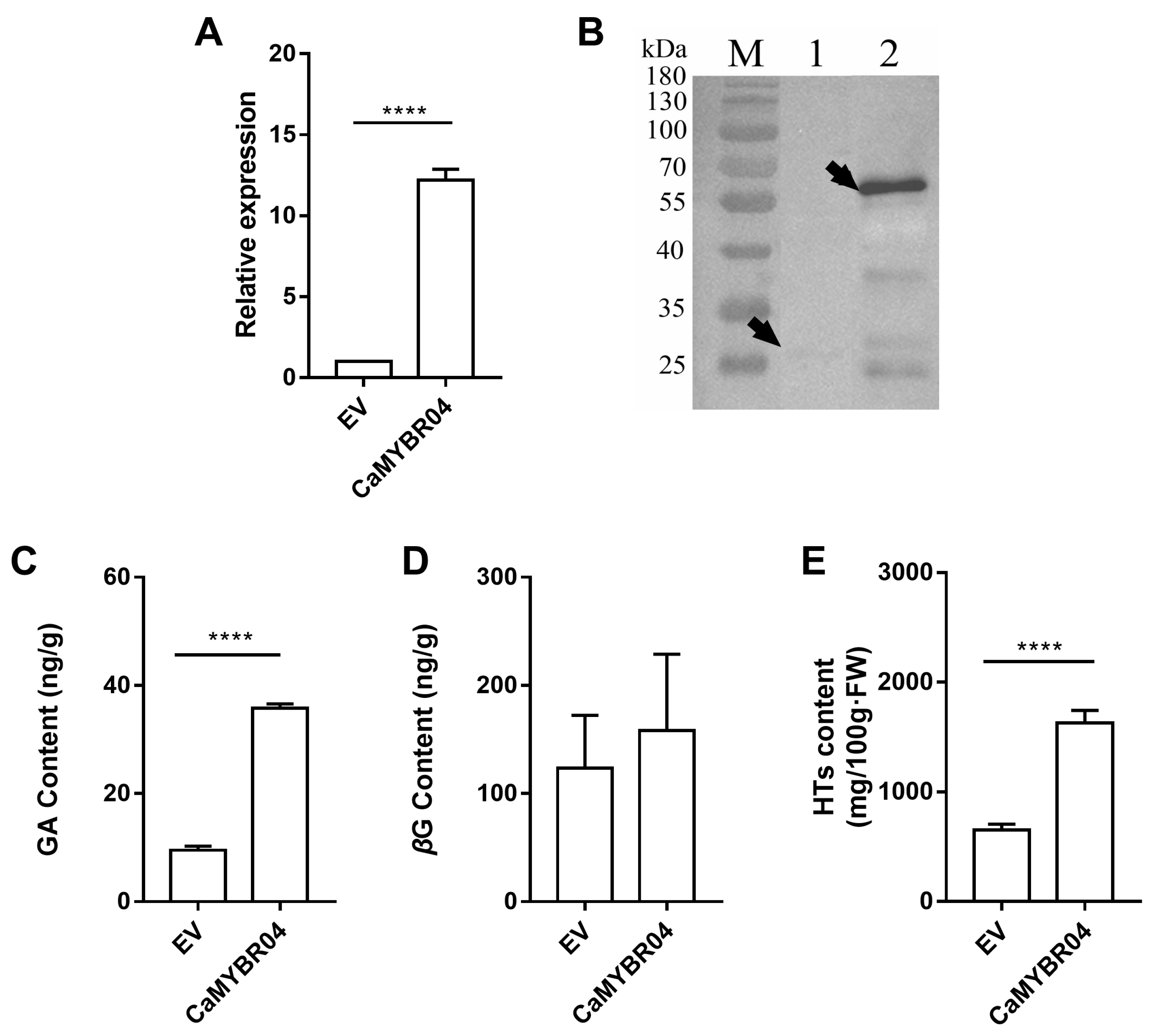 Plants 13 01837 g006