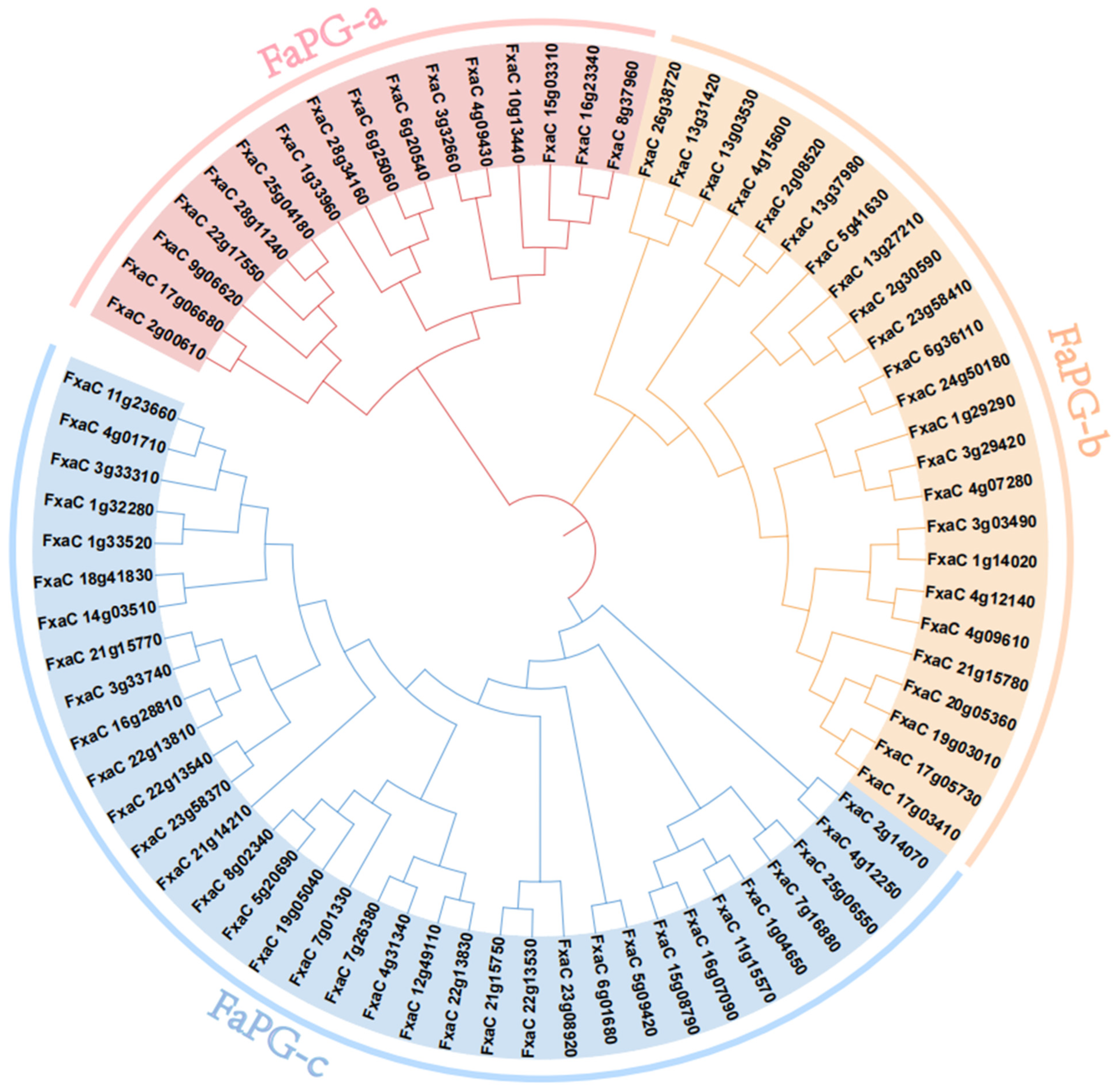 Plants 13 01838 g002