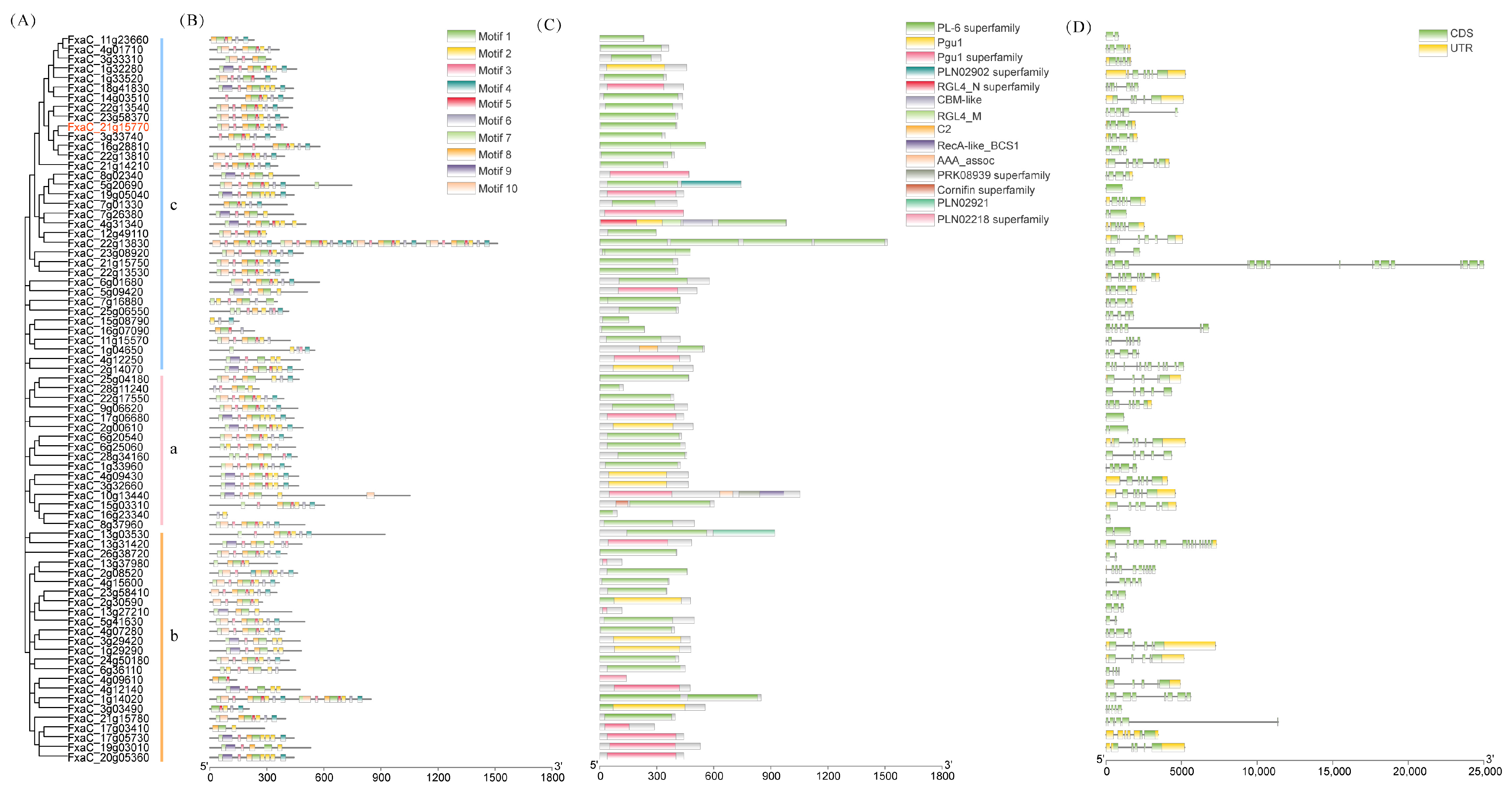 Plants 13 01838 g003