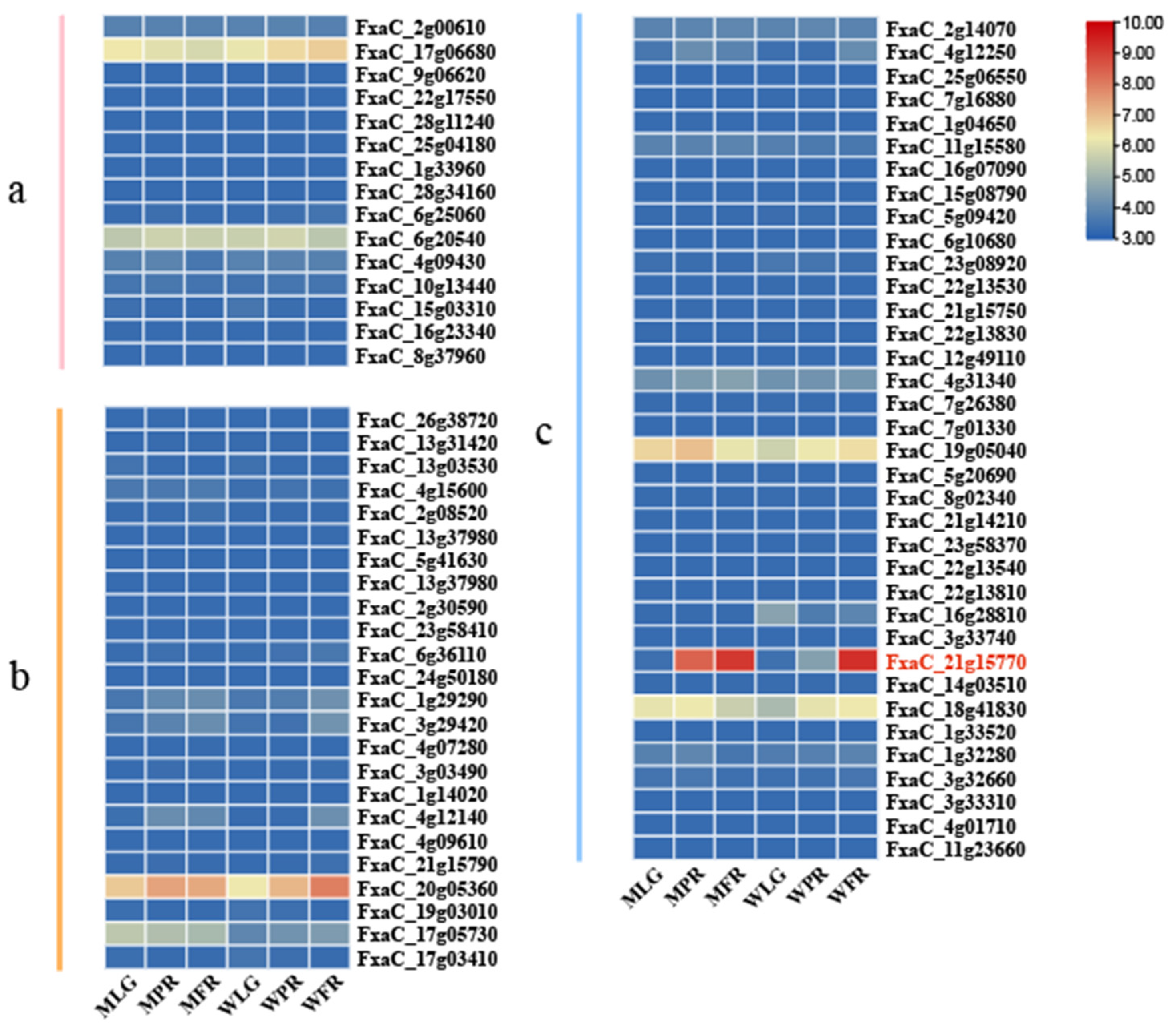 Plants 13 01838 g007
