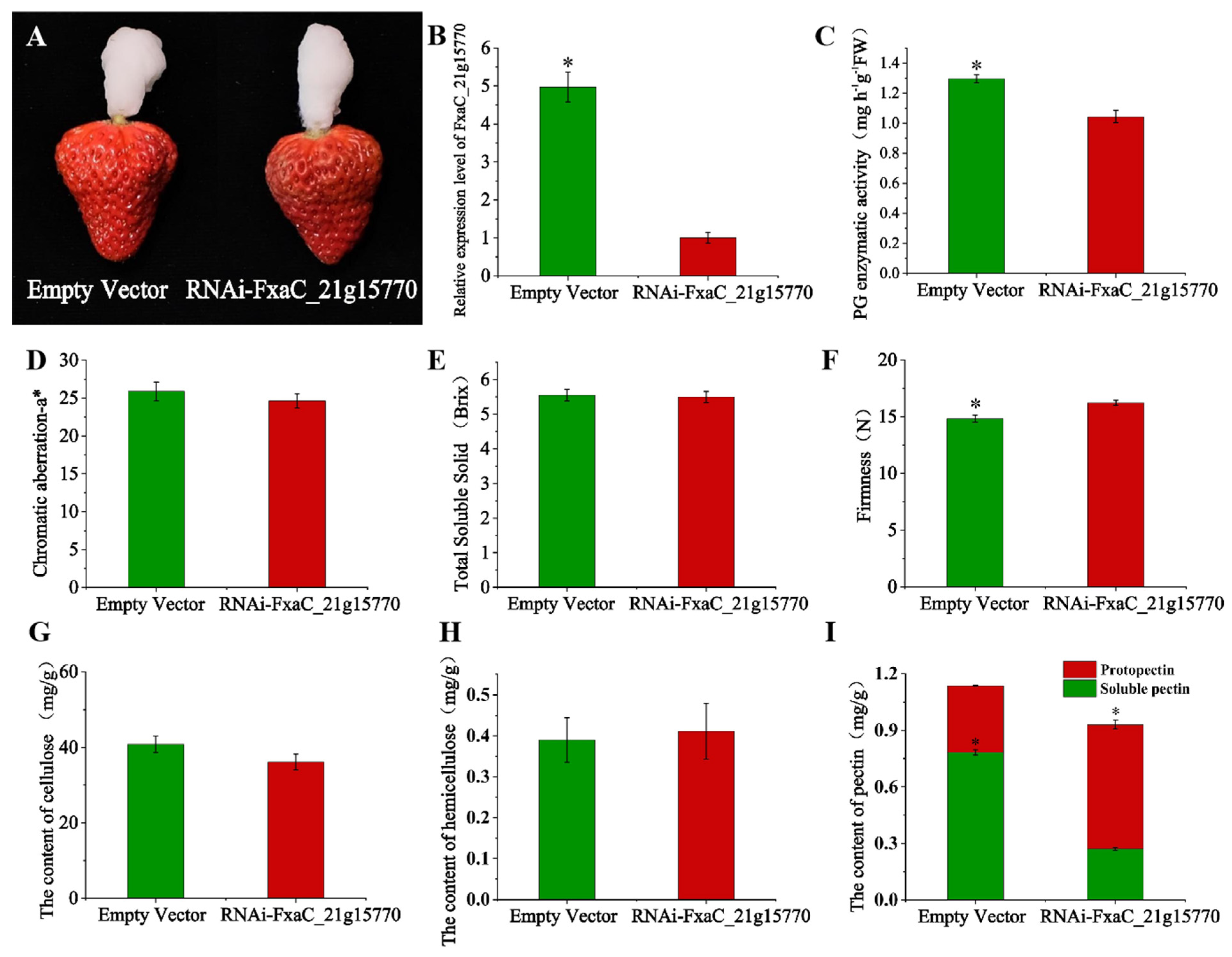 Plants 13 01838 g008