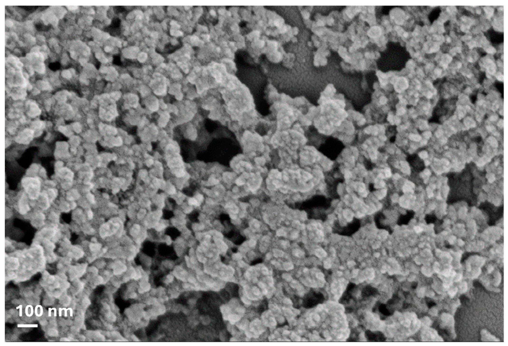 Plants 13 01839 g001