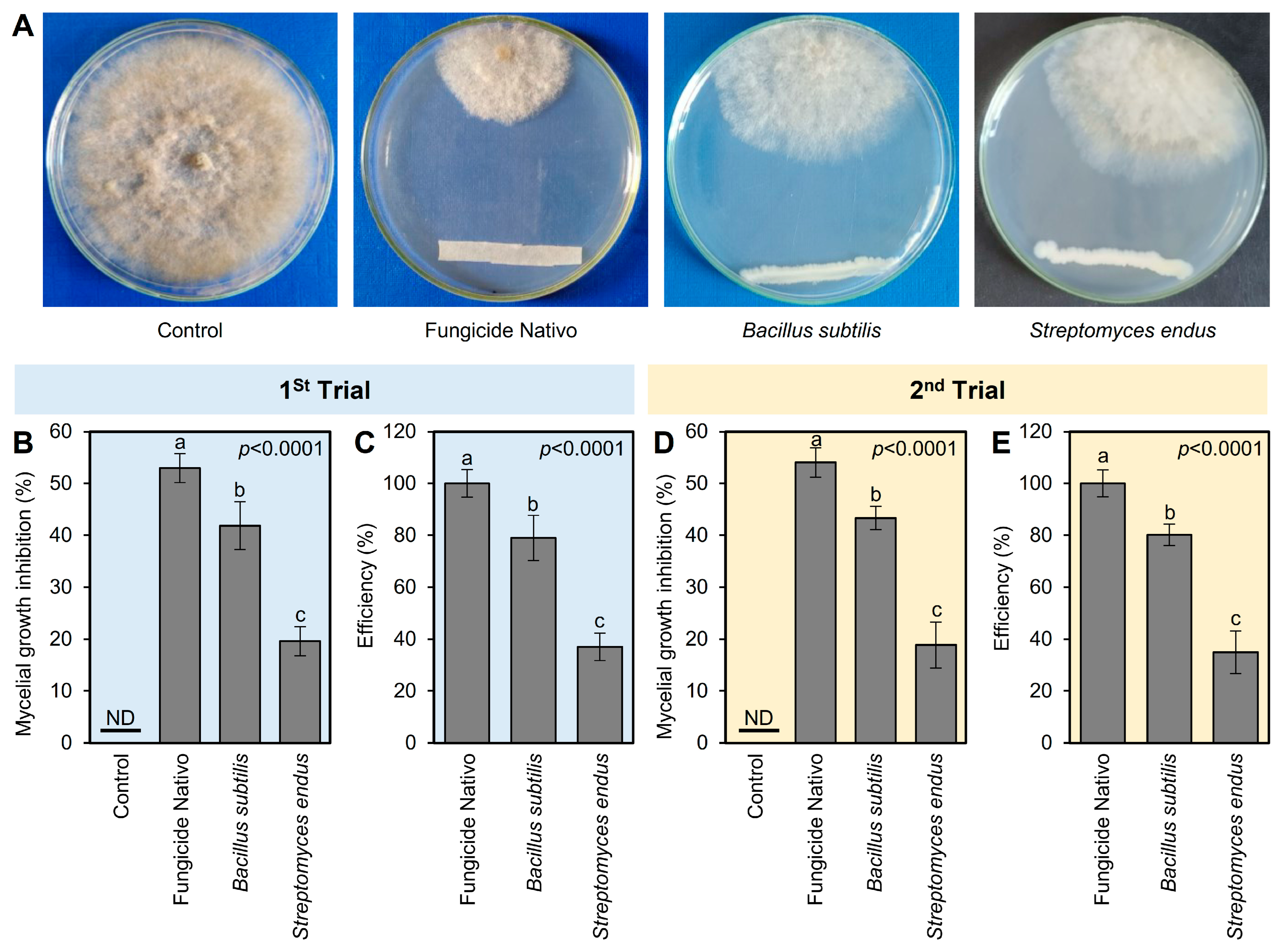 Plants 13 01844 g002