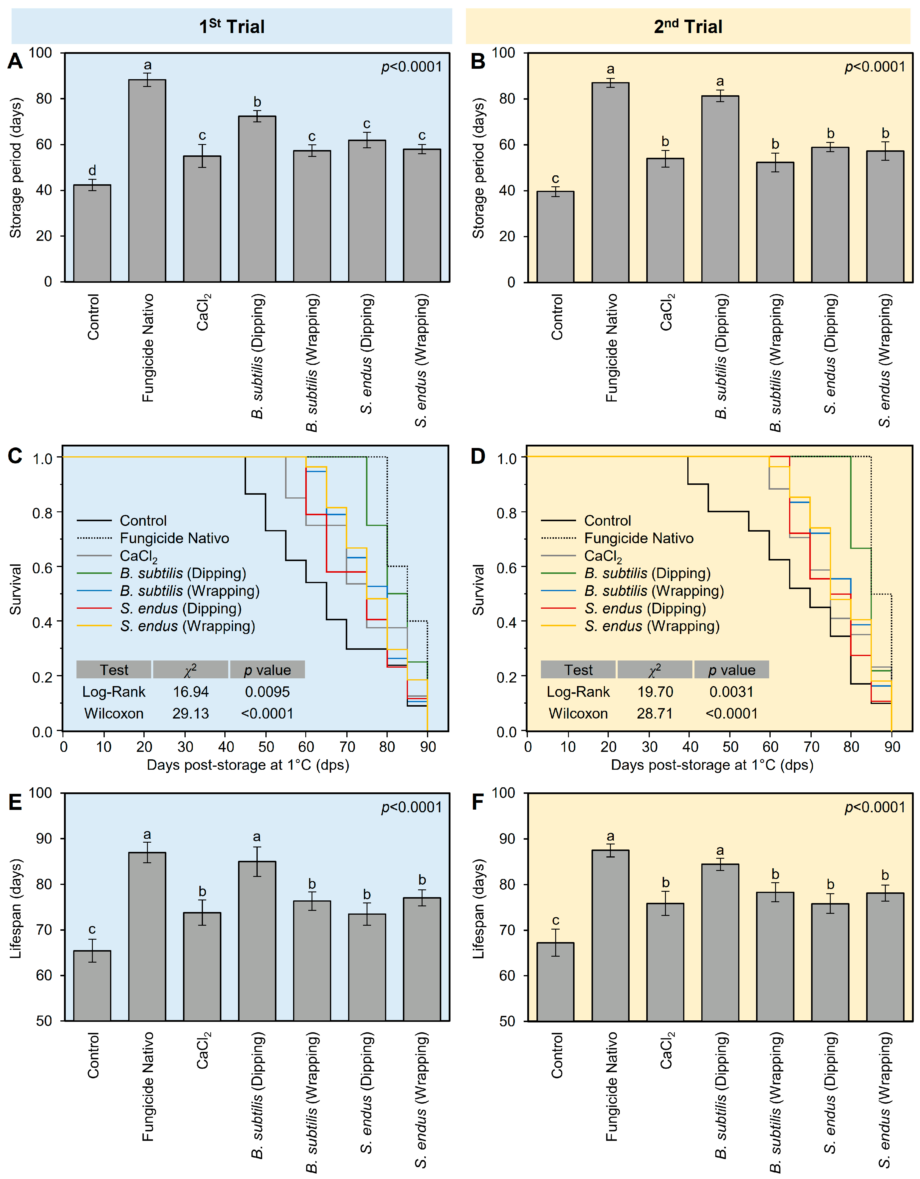 Plants 13 01844 g006