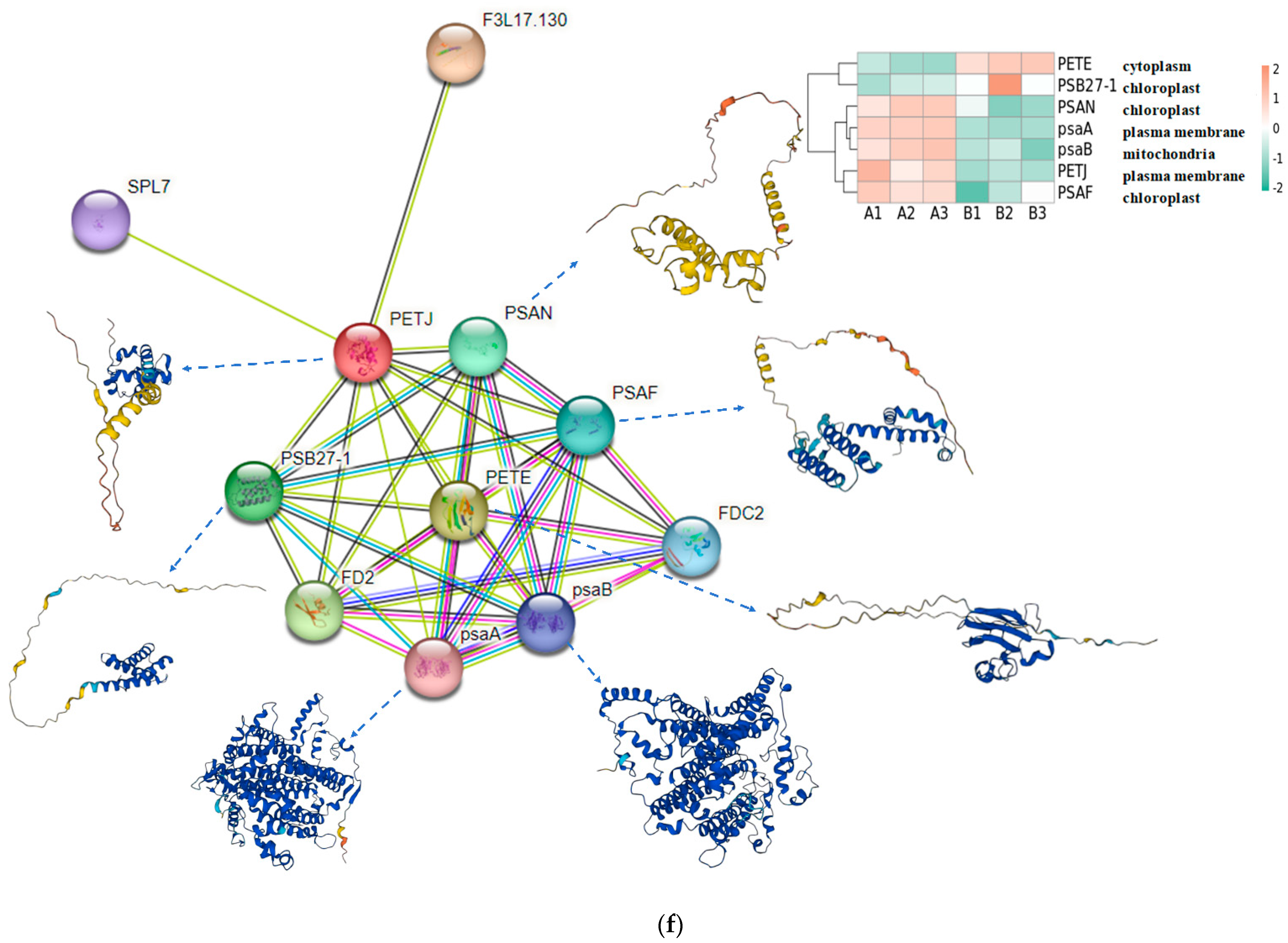 Plants 13 01856 g003b