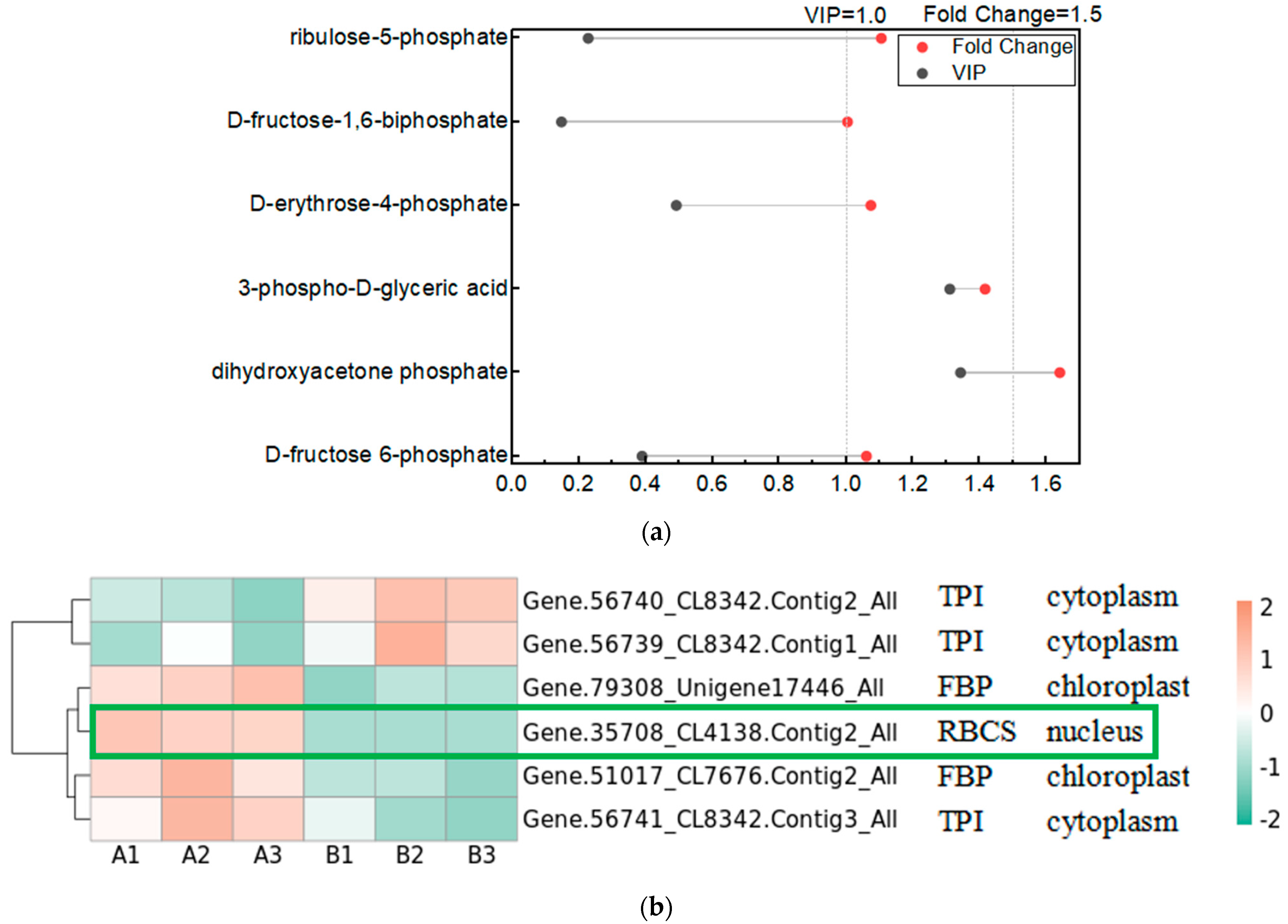 Plants 13 01856 g004a