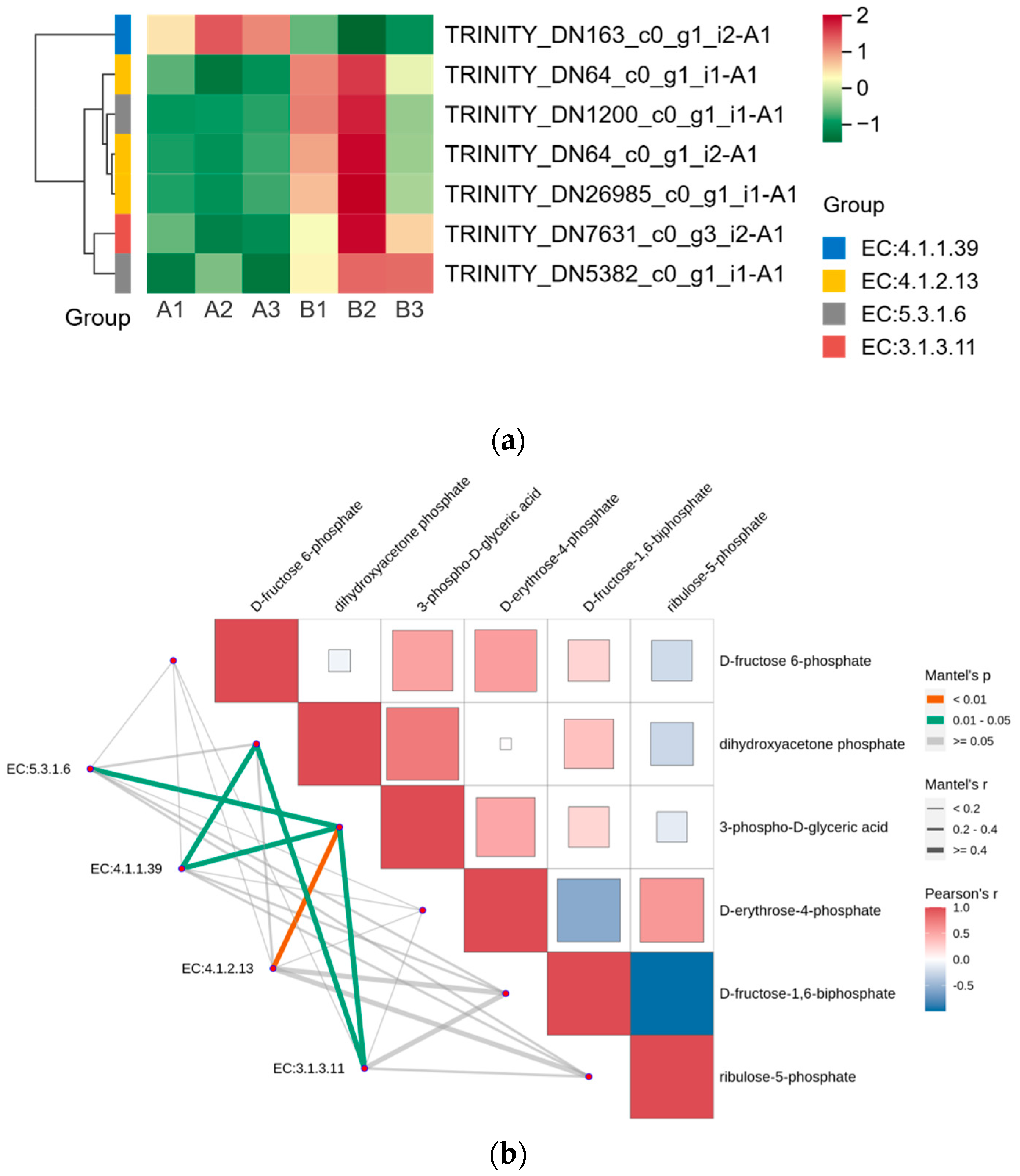 Plants 13 01856 g006