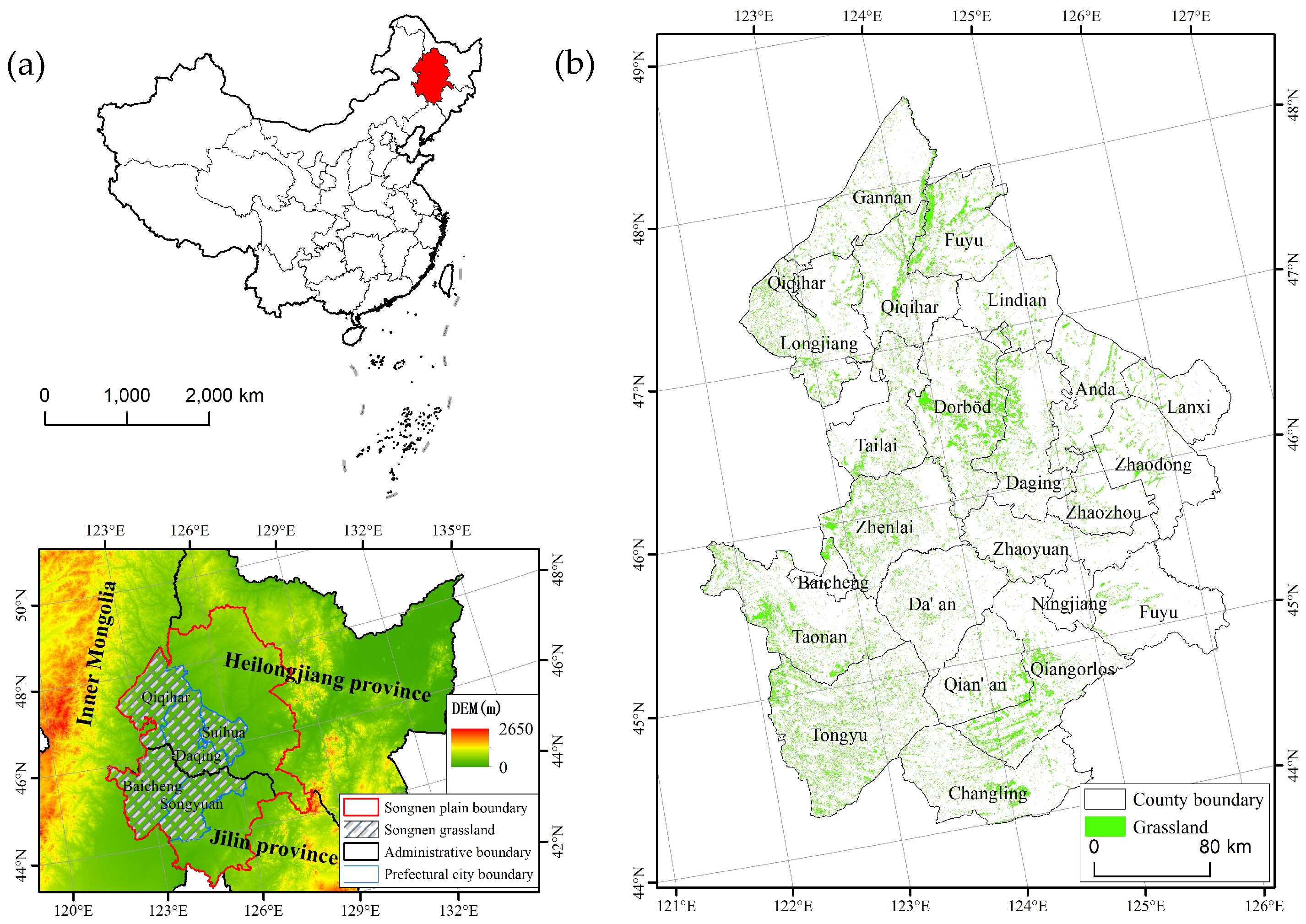 Plants 13 01860 g001