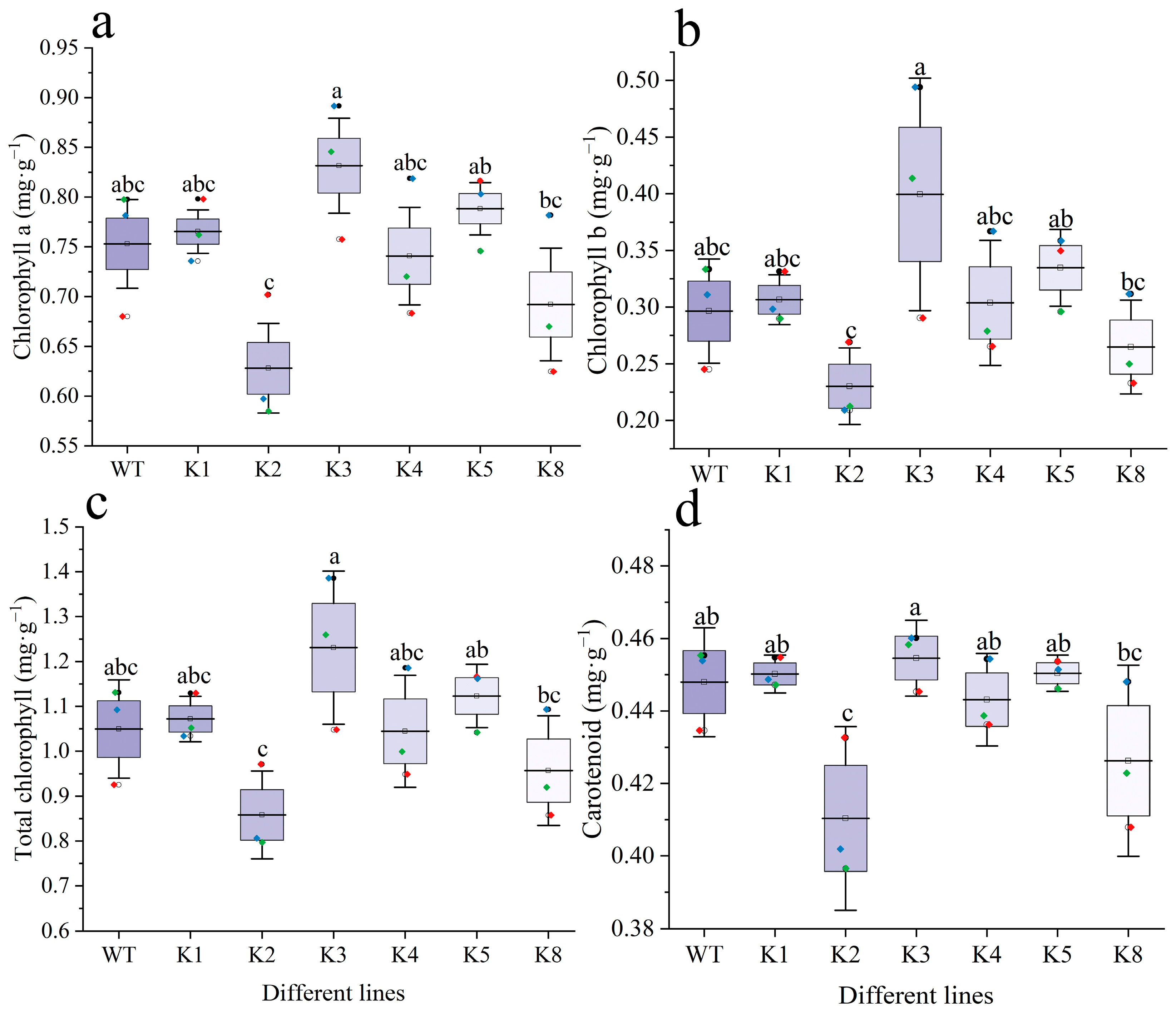Plants 13 01867 g006