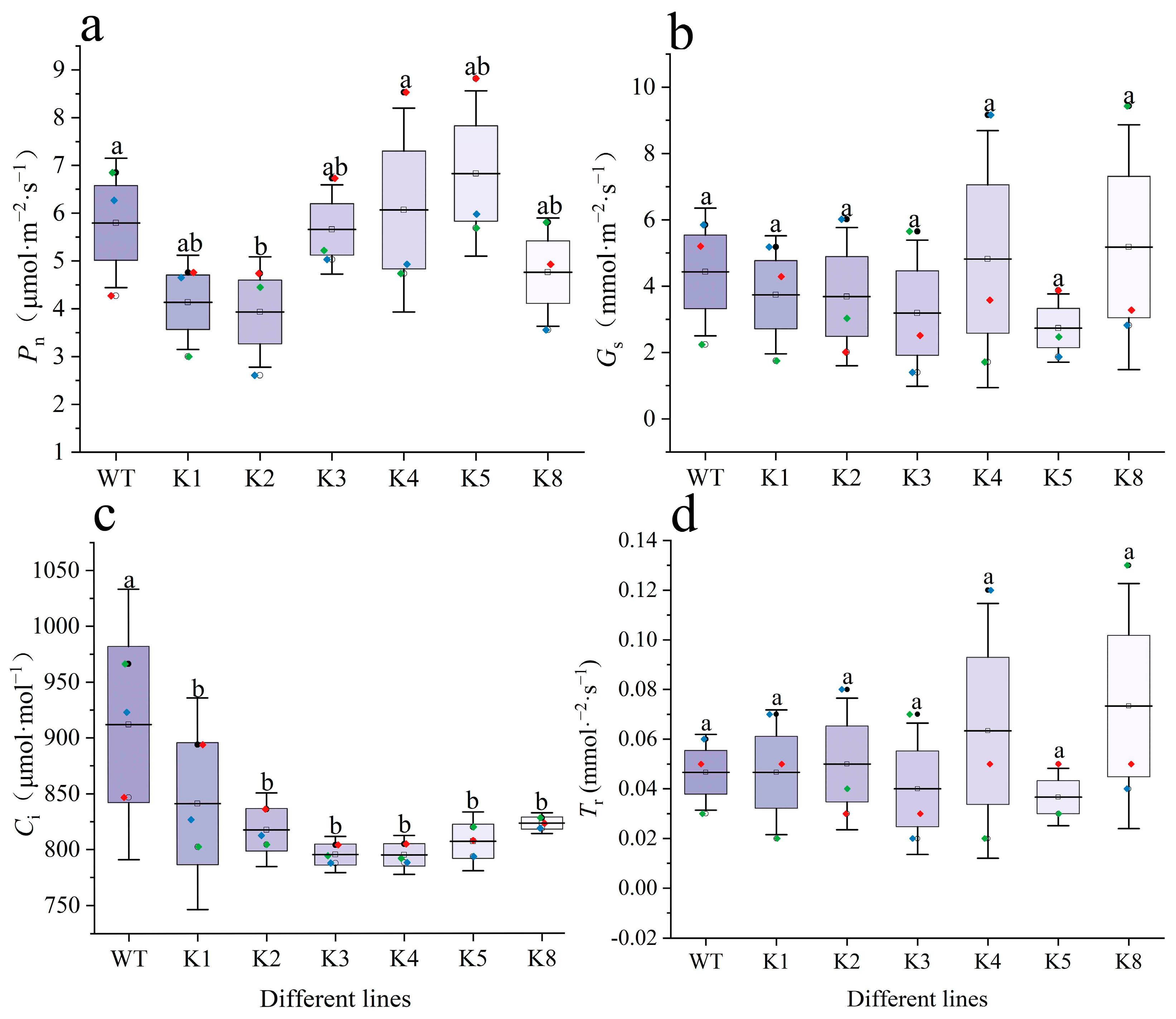 Plants 13 01867 g008