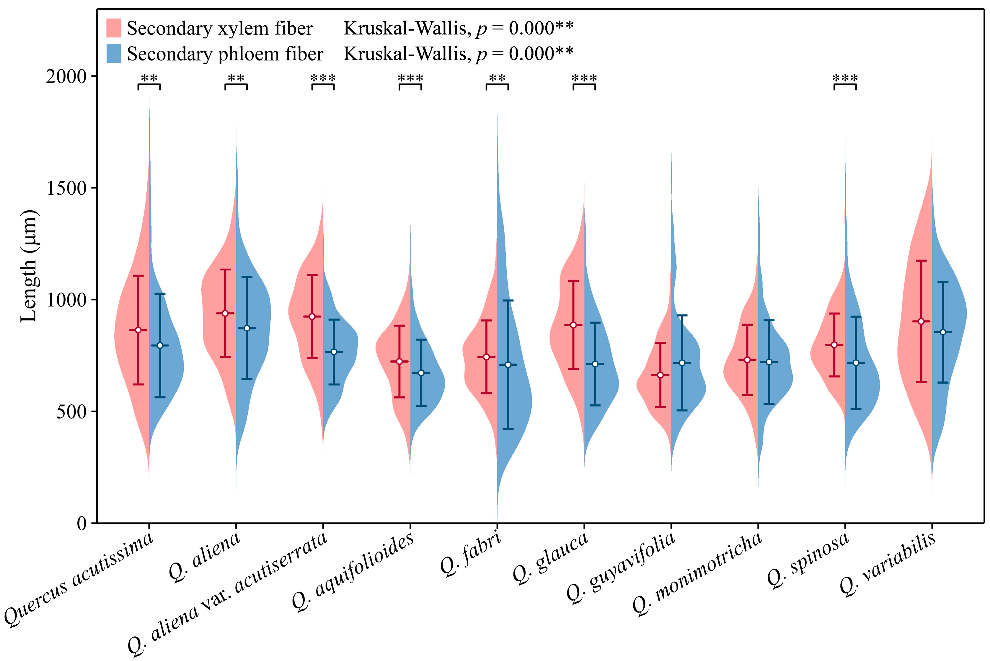Plants 13 01871 g010