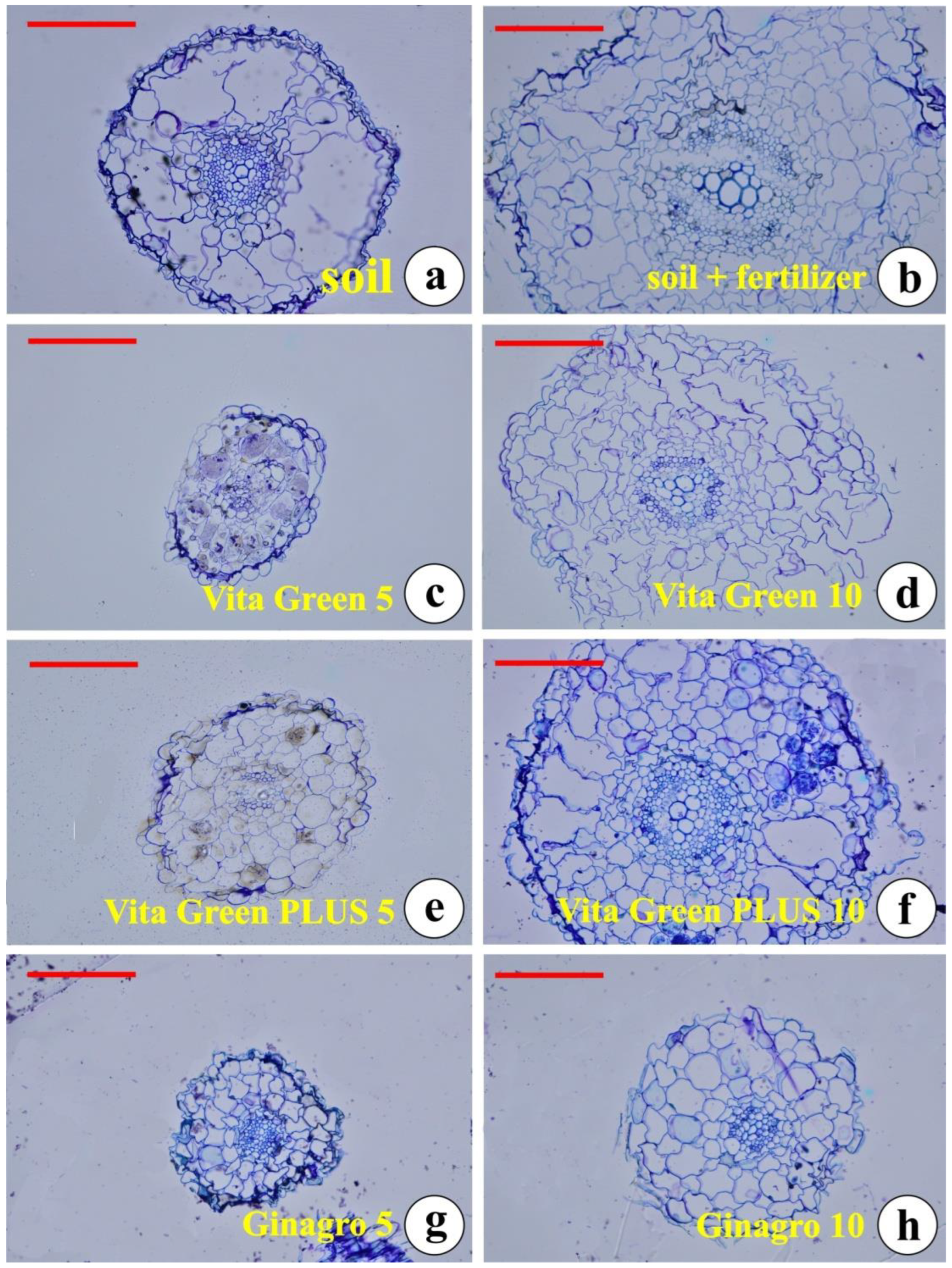 Plants 13 01872 g004