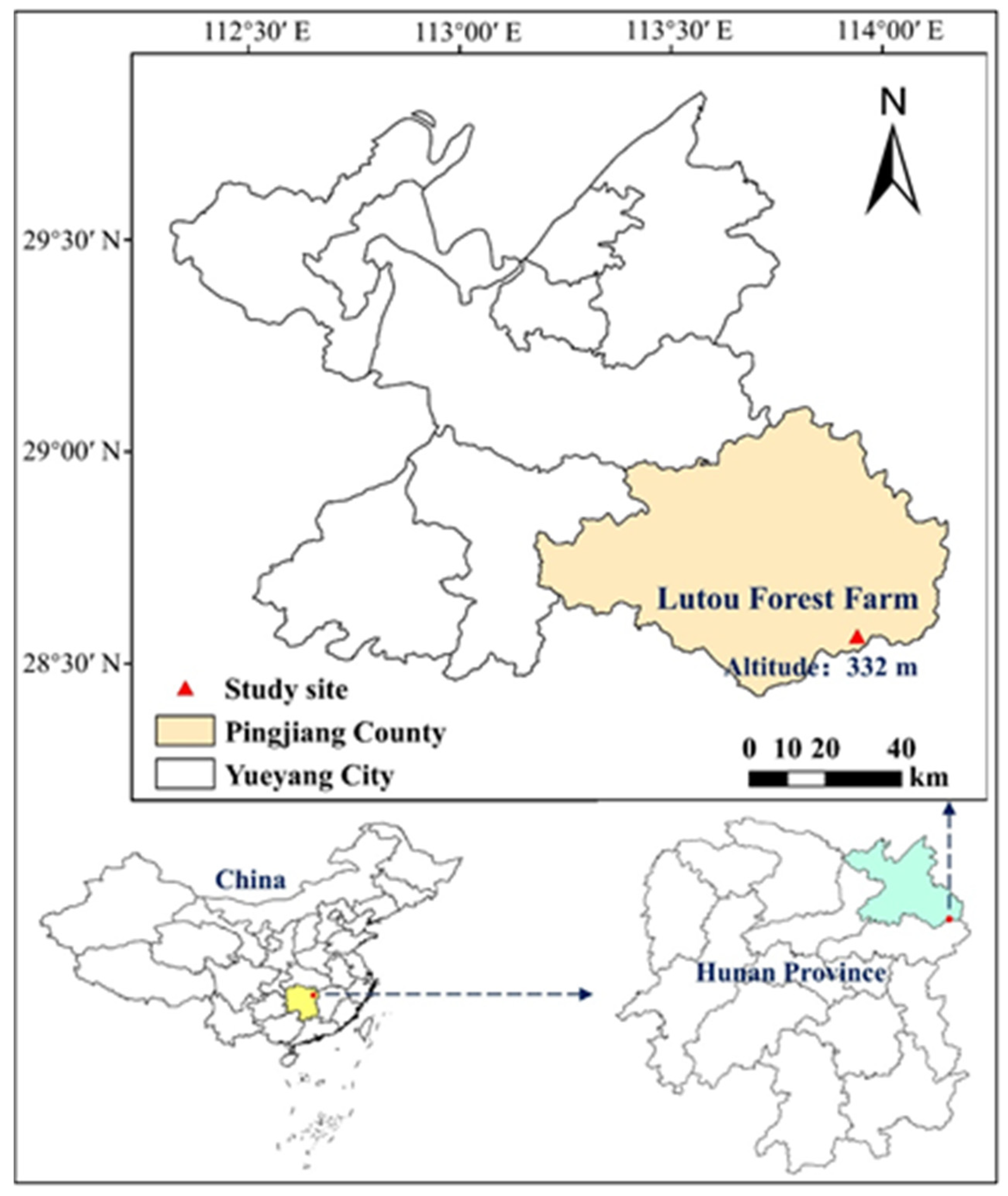 Plants 13 01877 g004