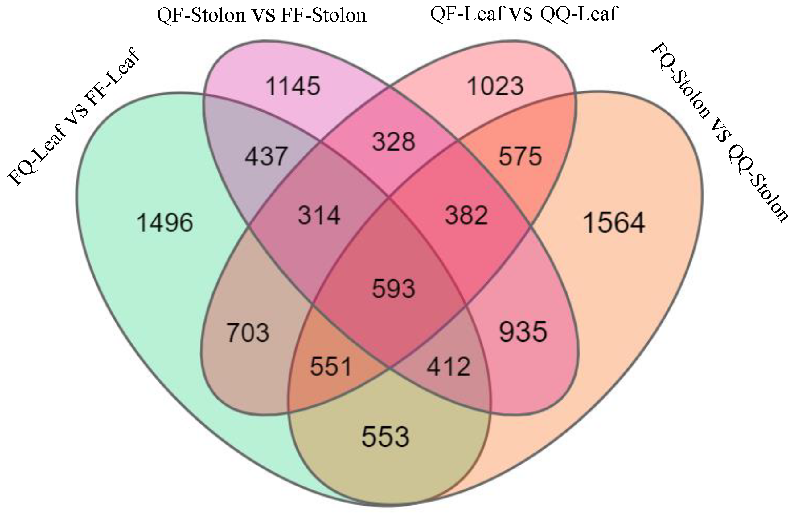 Plants 13 01879 g002