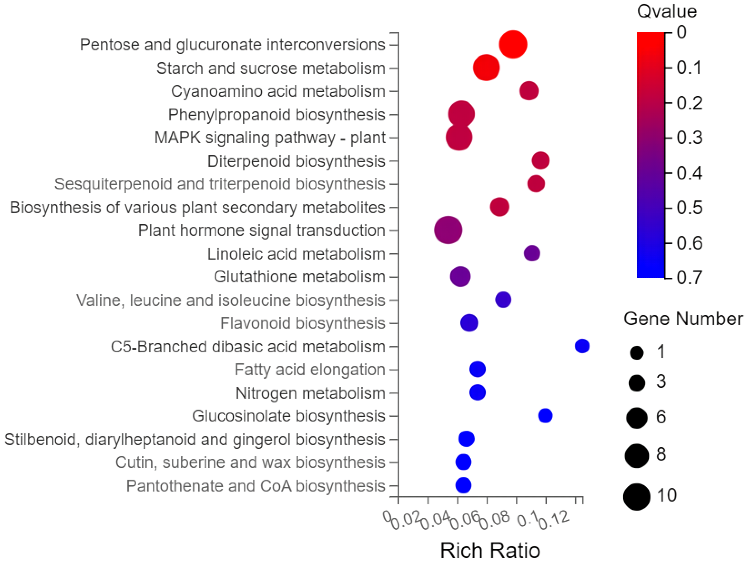 Plants 13 01879 g004