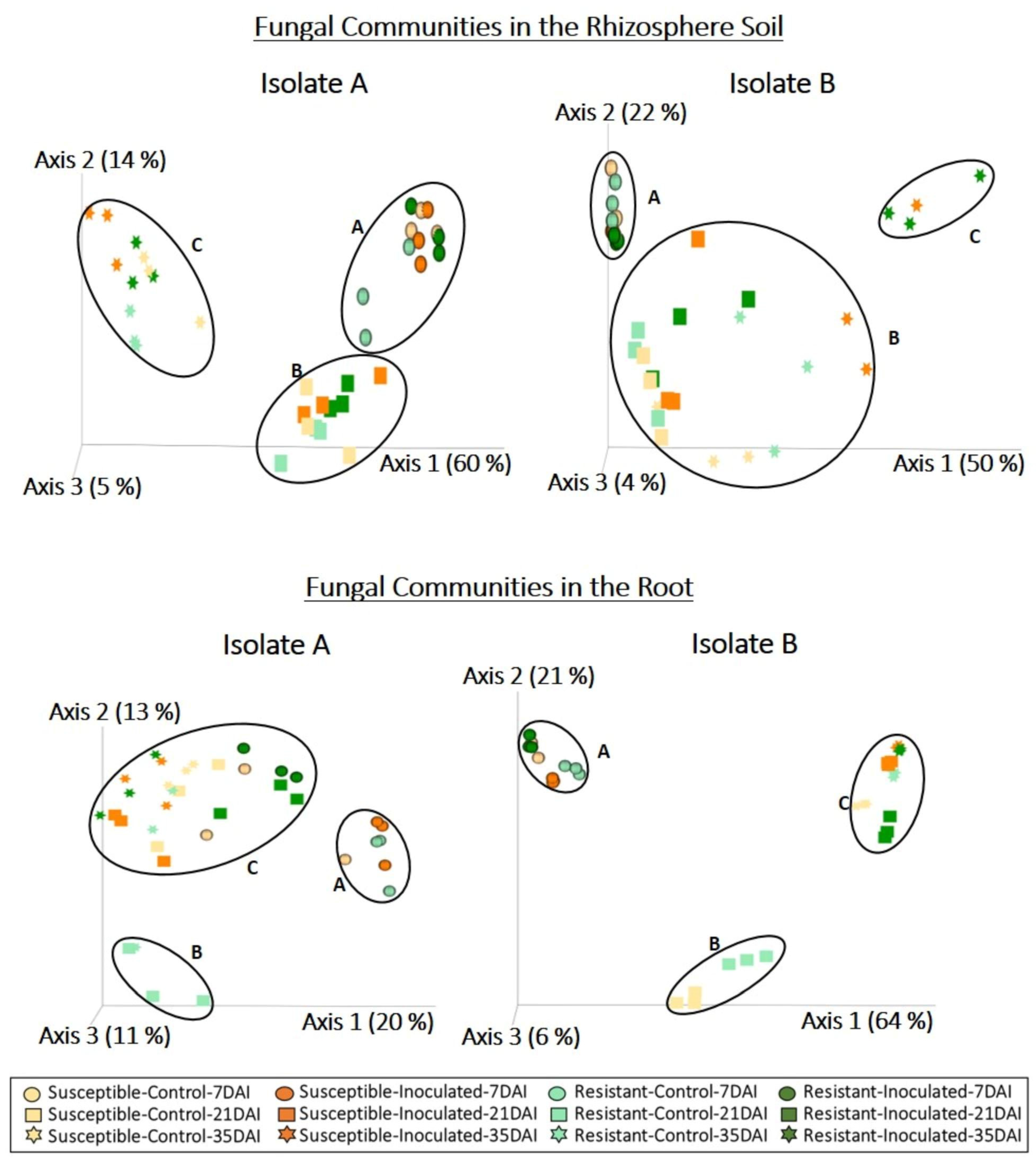 Plants 13 01880 g002 Plants 13 01880 g002