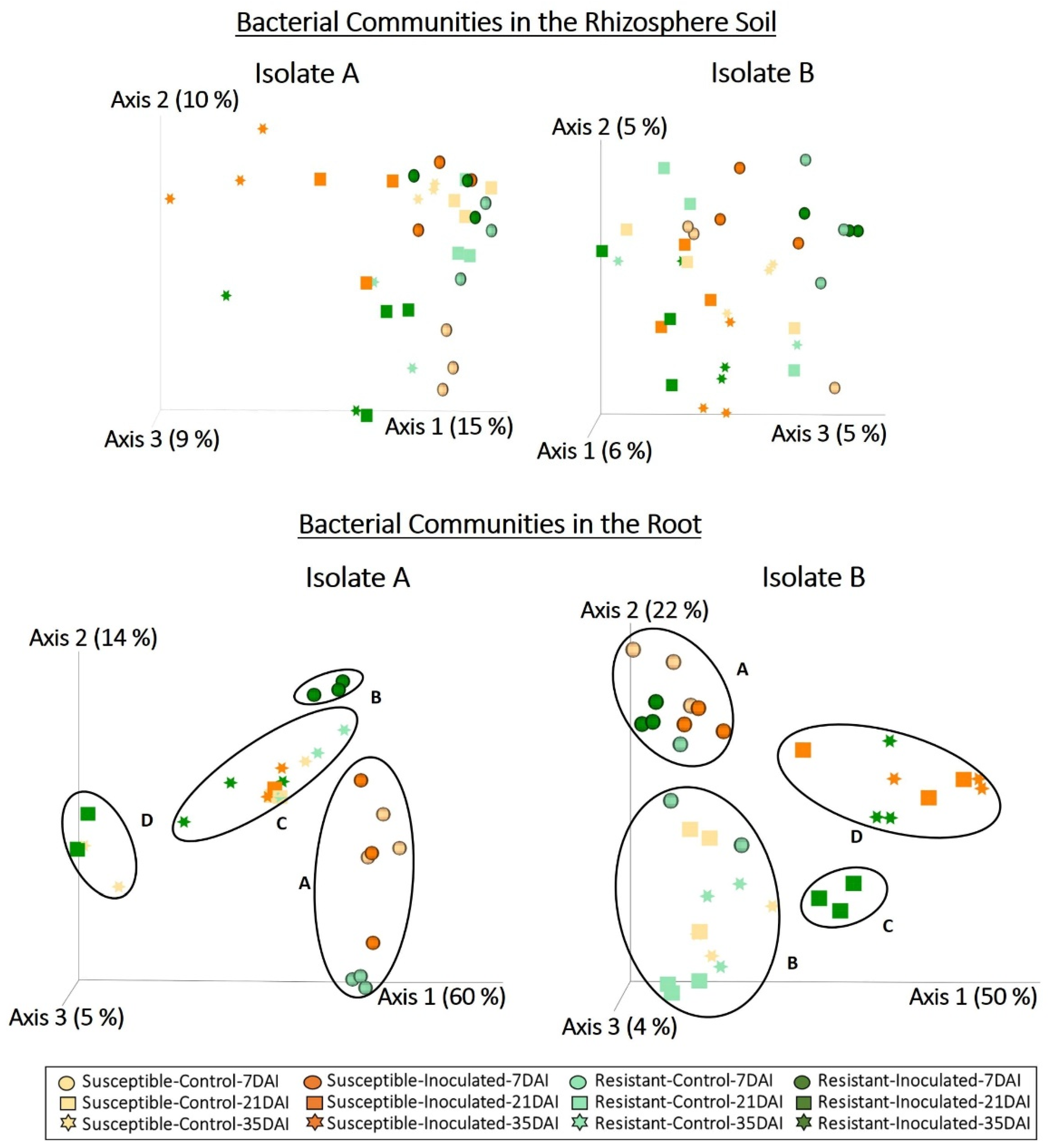 Plants 13 01880 g005 Plants 13 01880 g005