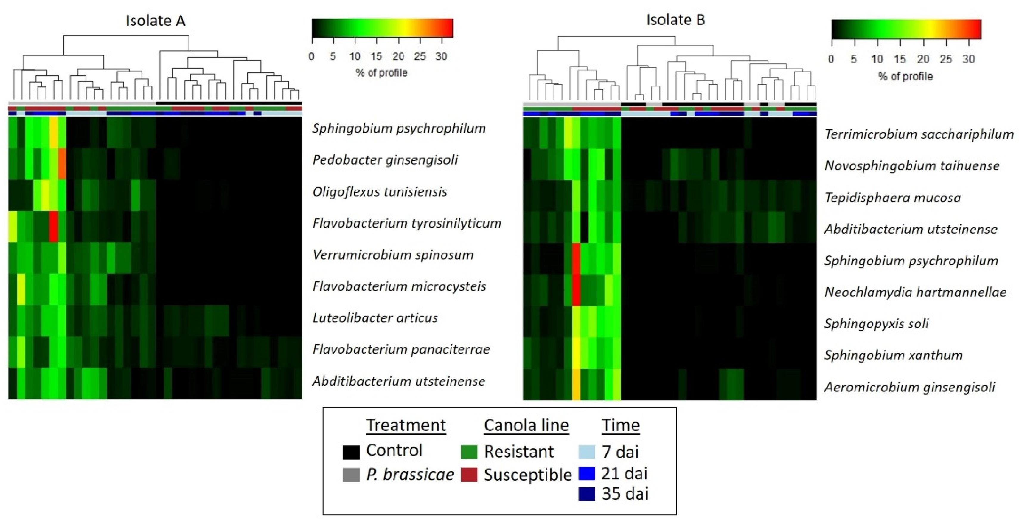 Plants 13 01880 g007 Plants 13 01880 g007