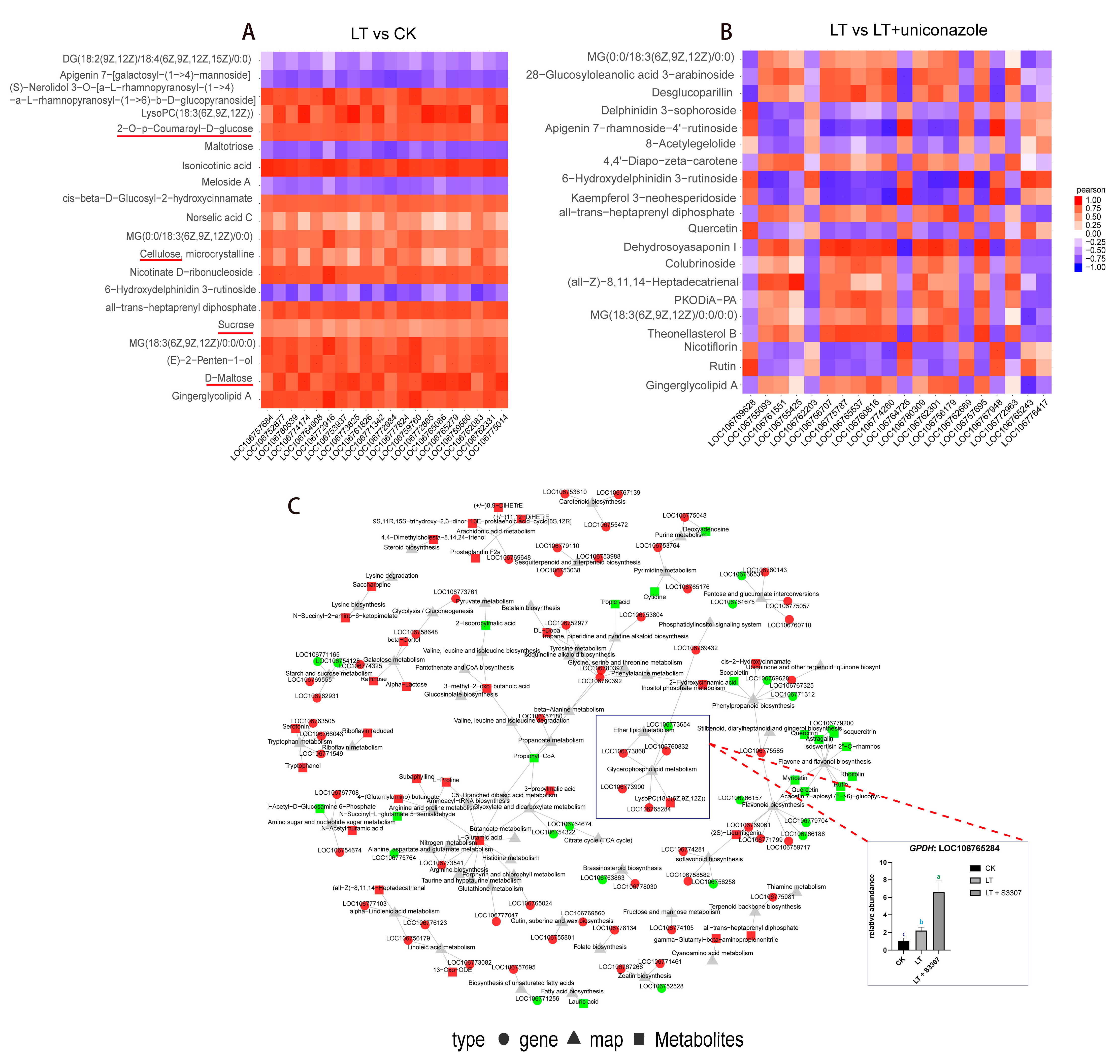 Plants 13 01885 g005