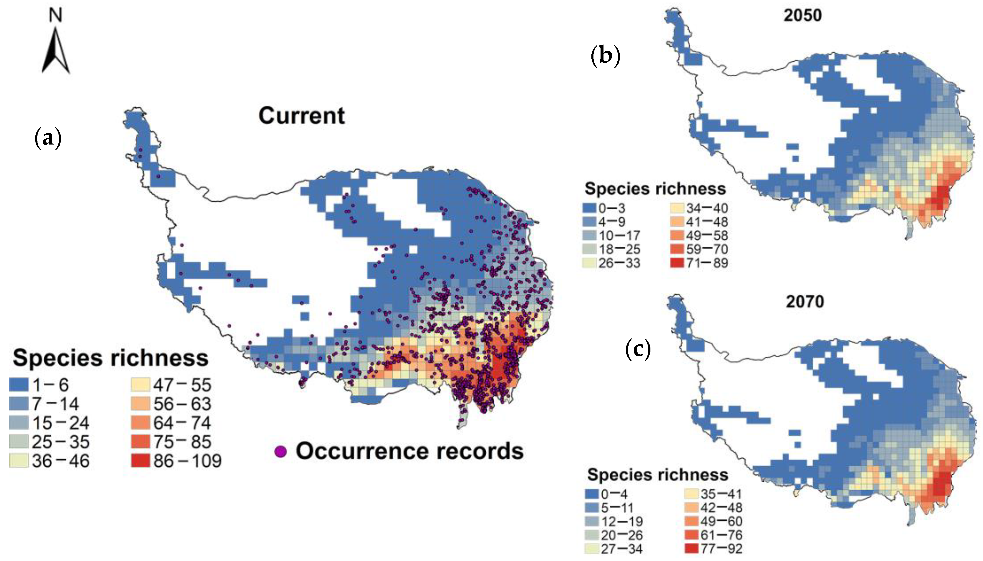 Plants 13 01886 g001
