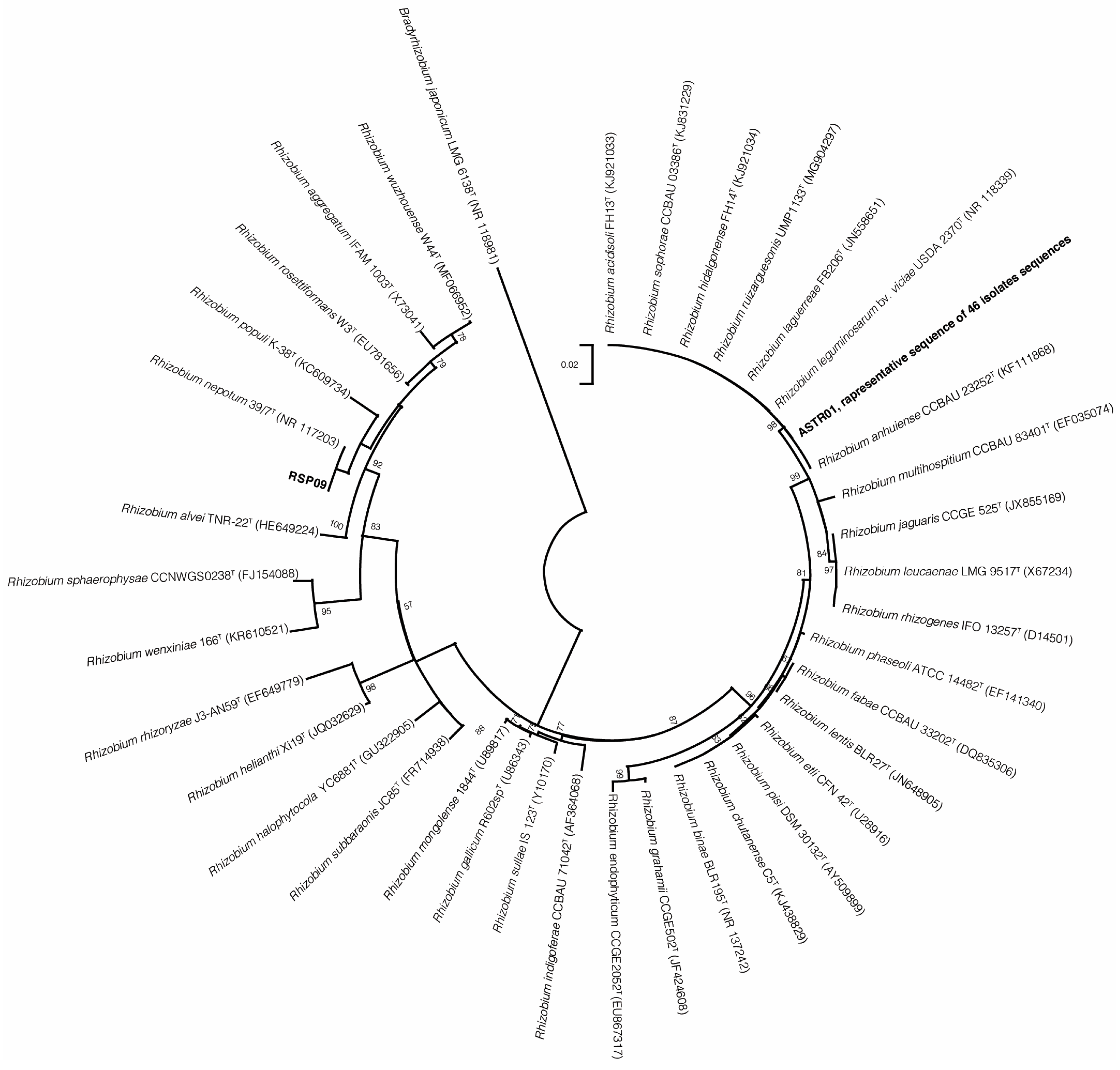 Plants 13 01888 g003