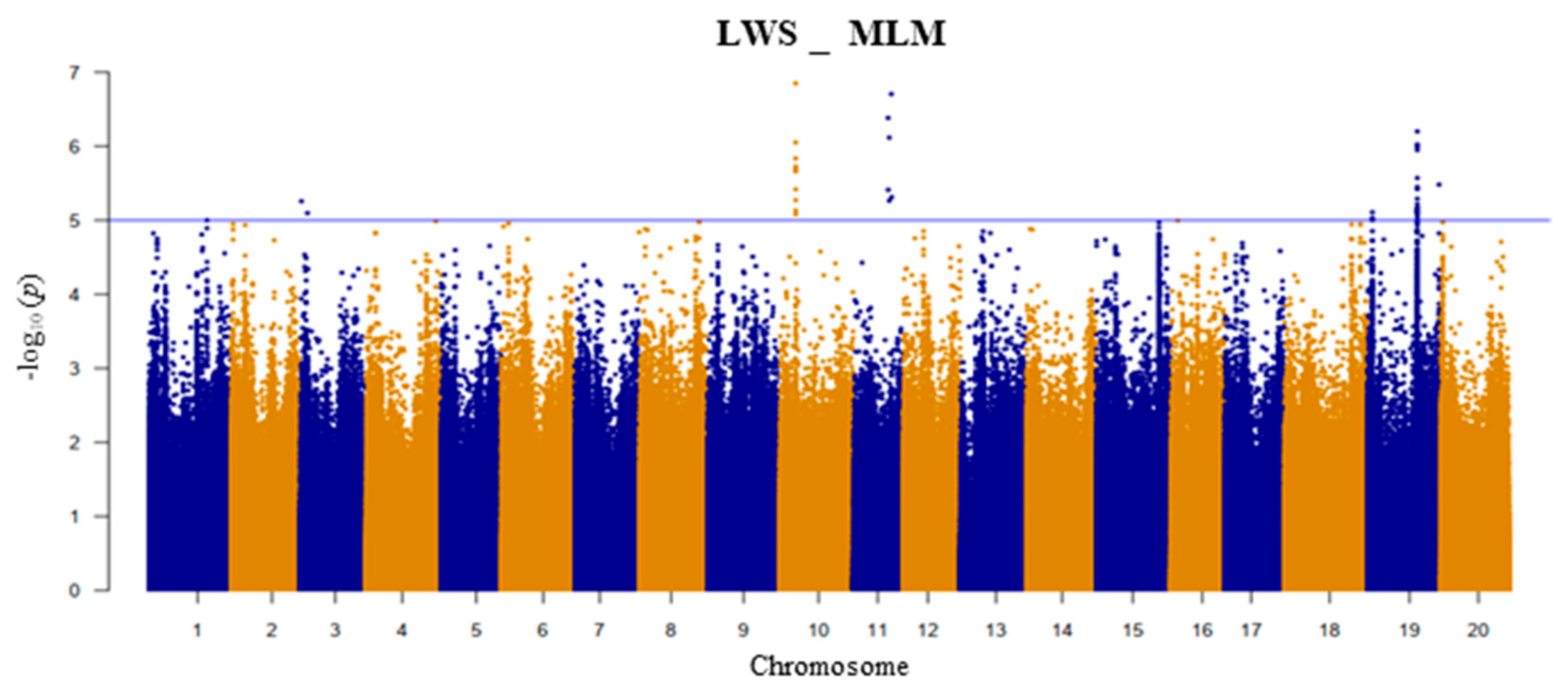 Plants 13 01894 g002