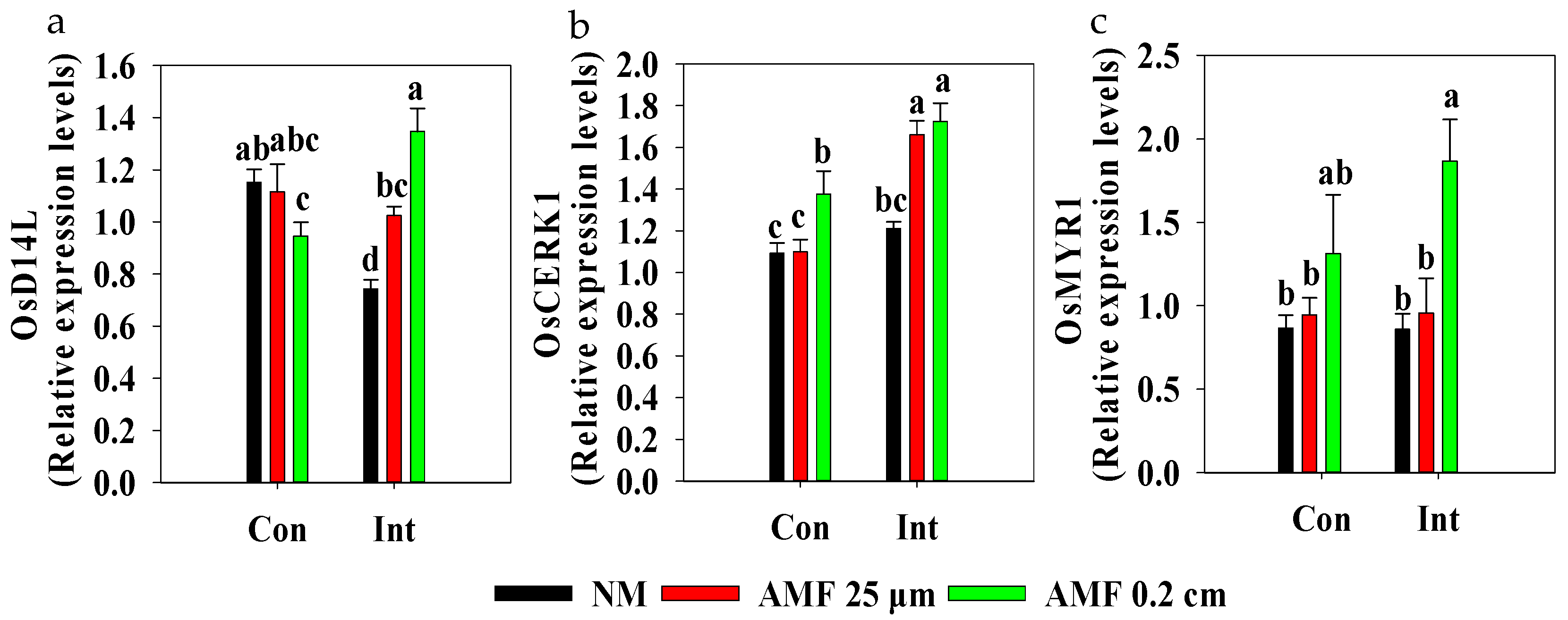 Plants 13 01908 g002