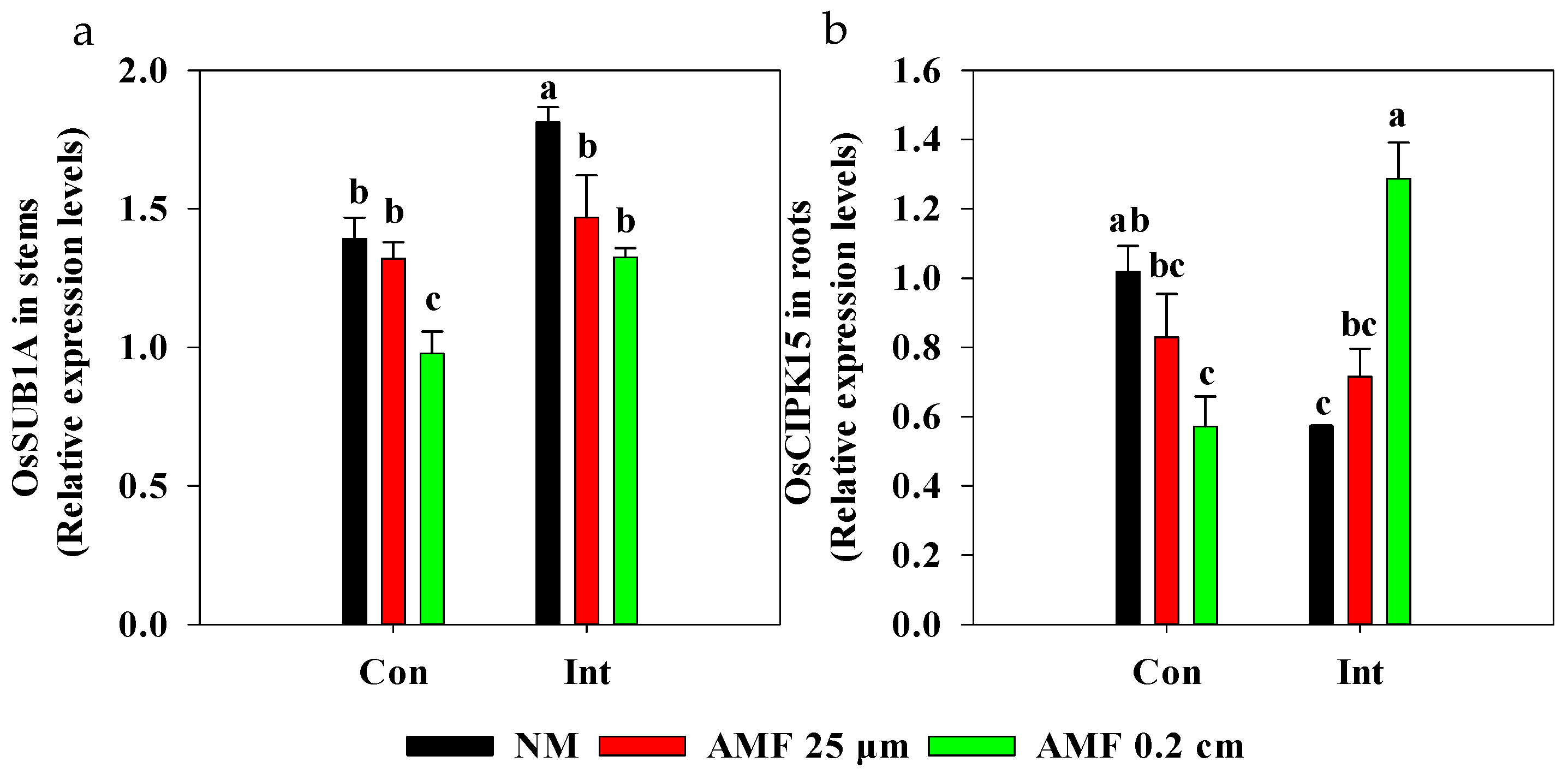 Plants 13 01908 g003