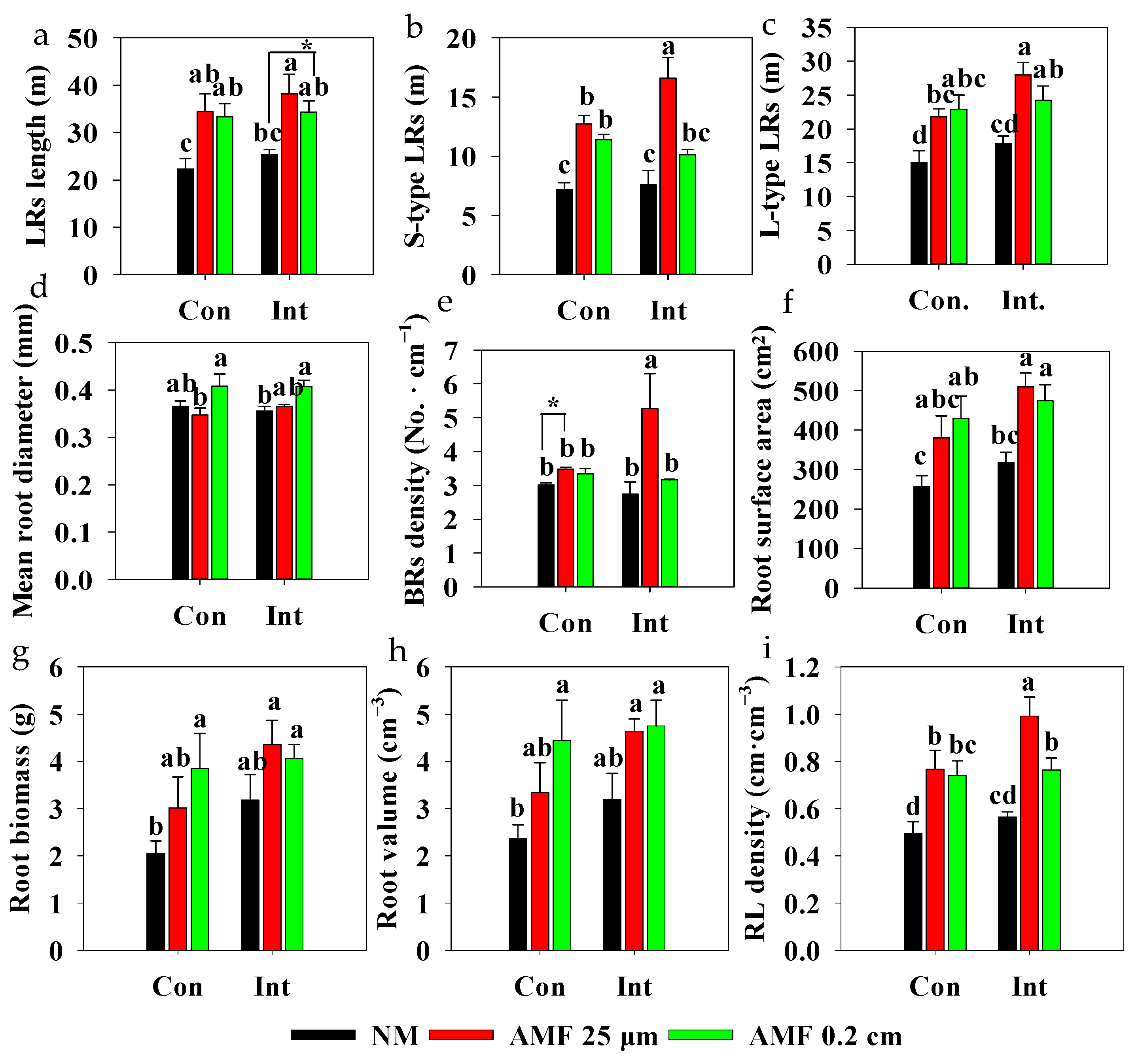 Plants 13 01908 g005