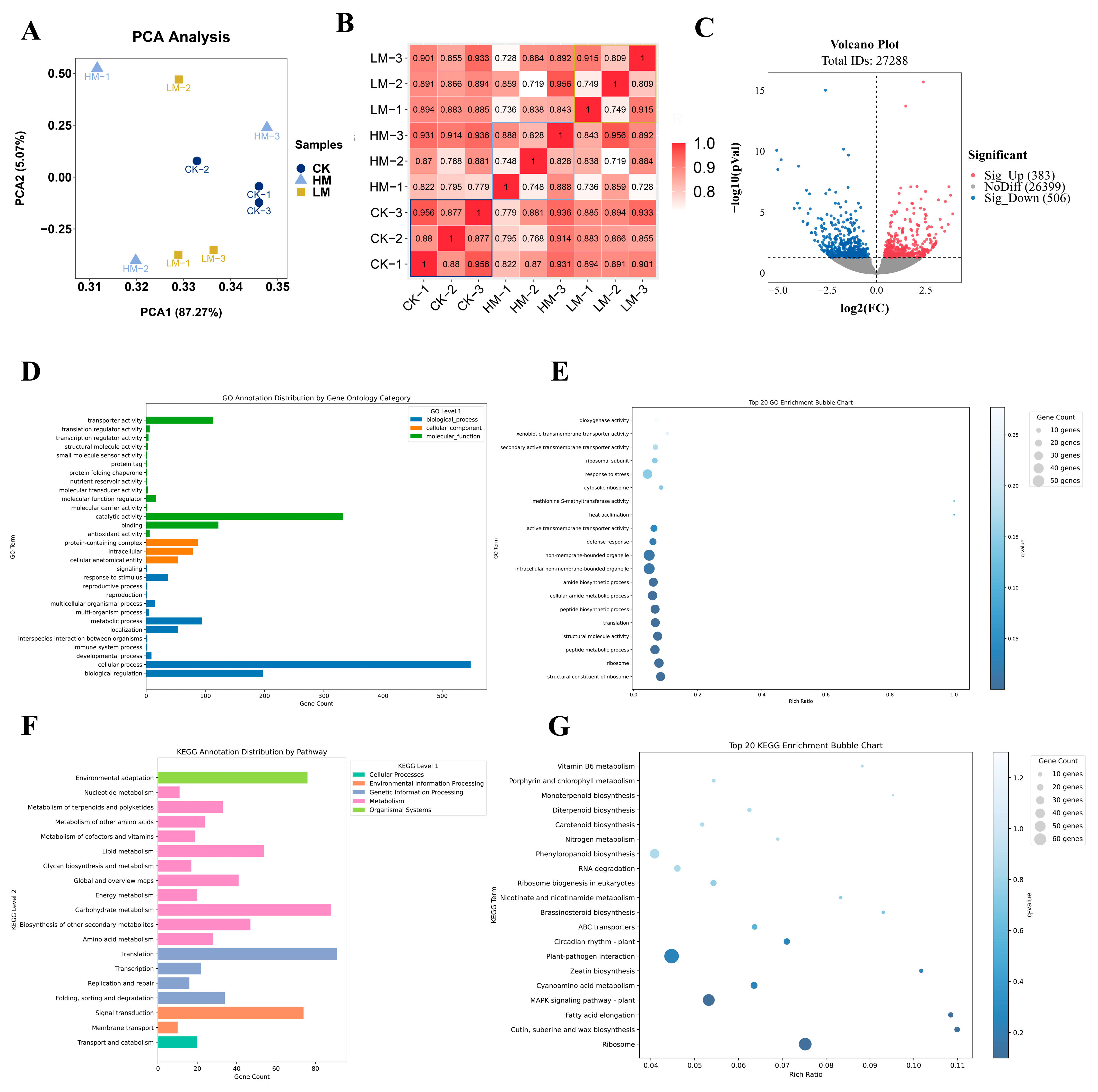 Plants 13 01920 g004