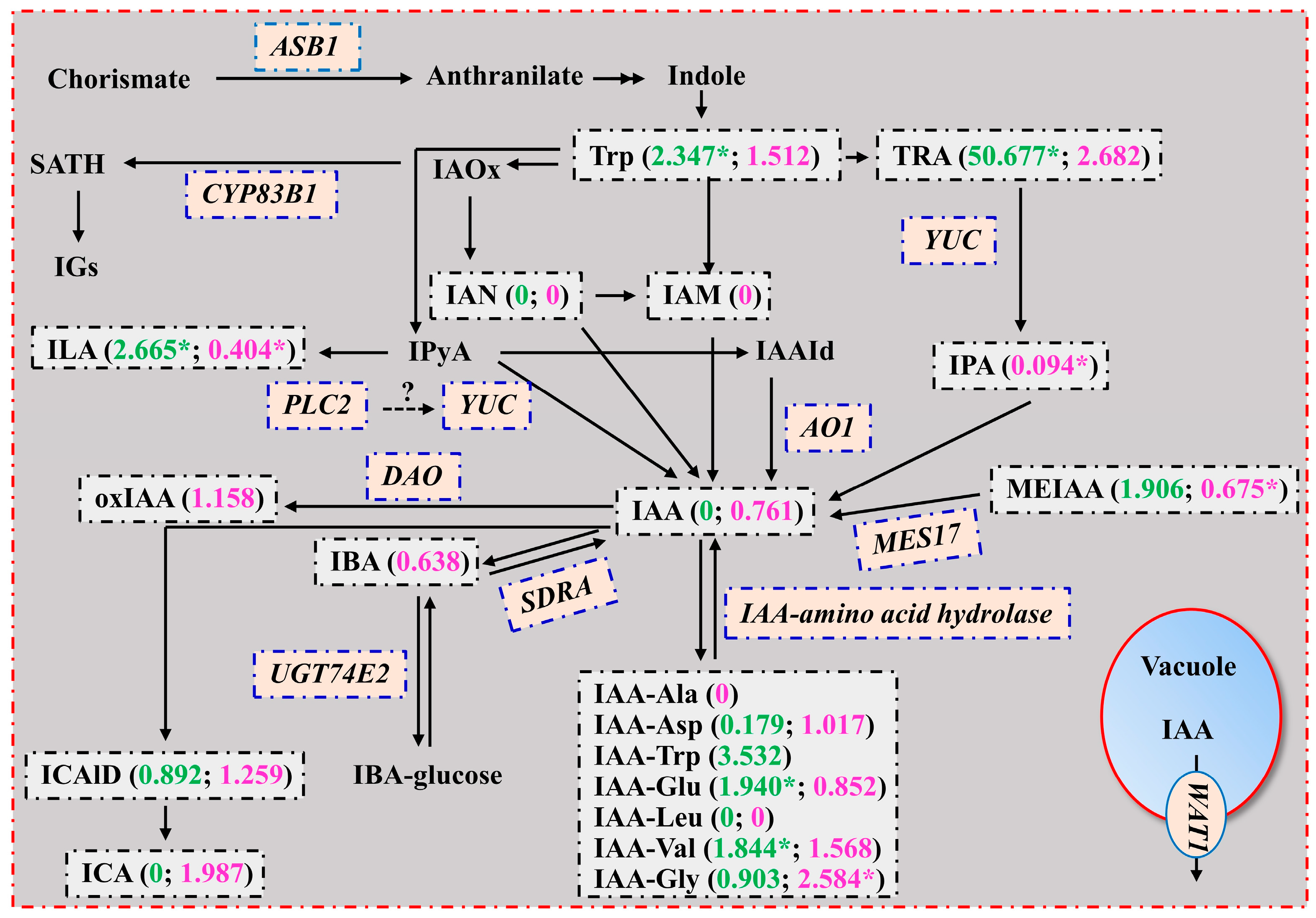 Plants 13 01925 g003