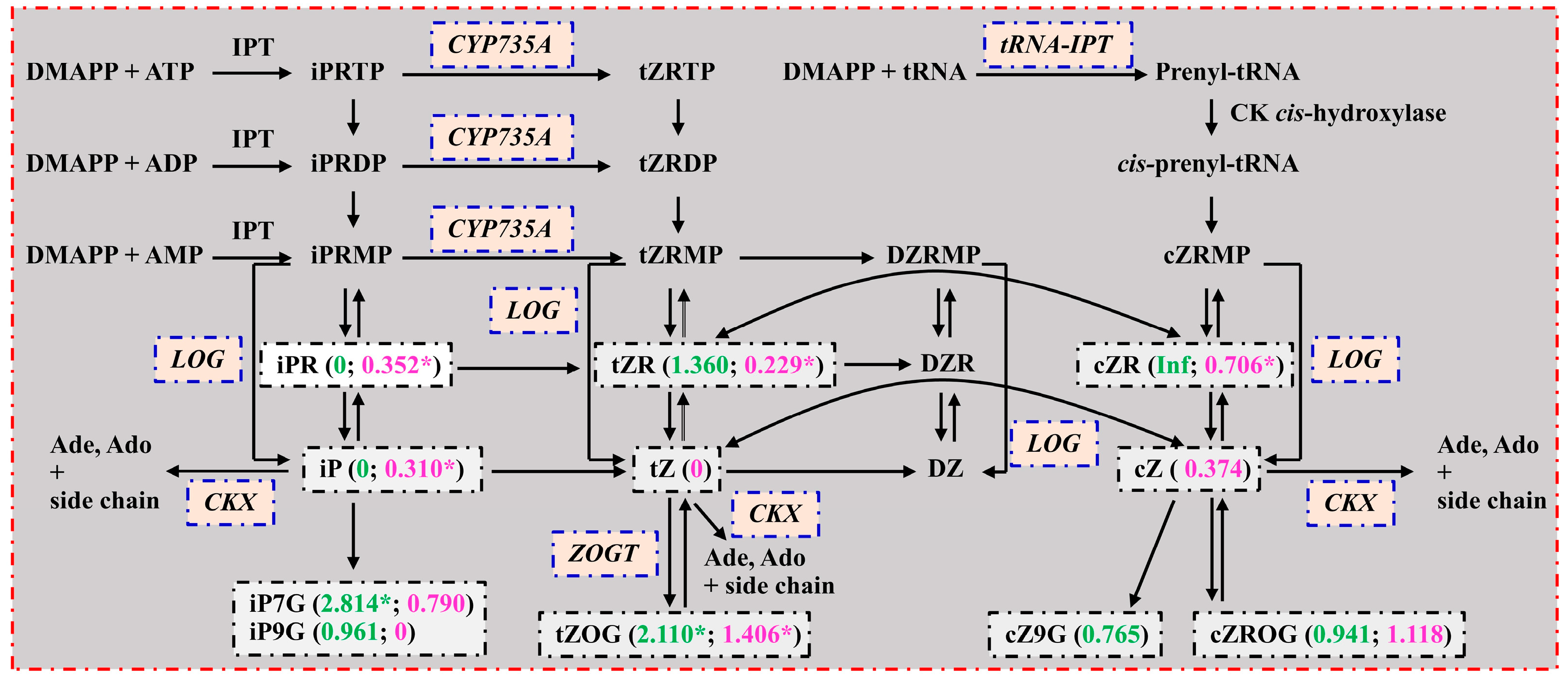 Plants 13 01925 g004