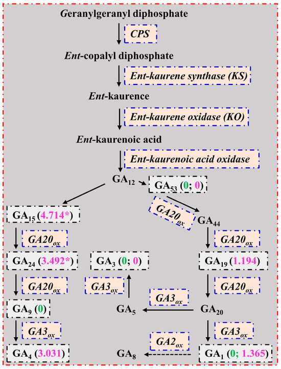 Plants 13 01925 g005