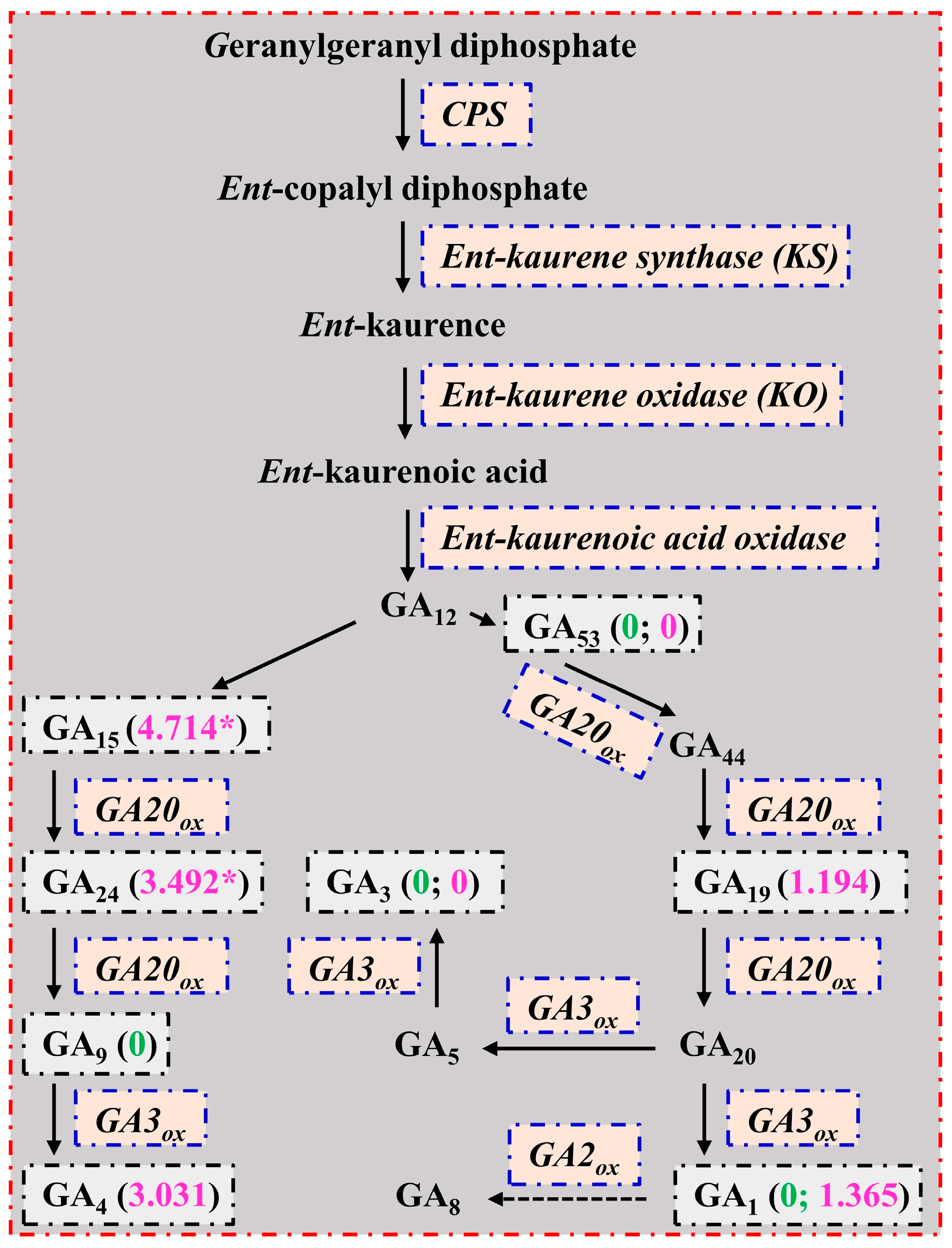 Plants 13 01925 g005