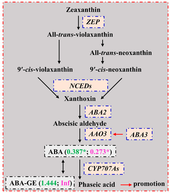 Plants 13 01925 g007