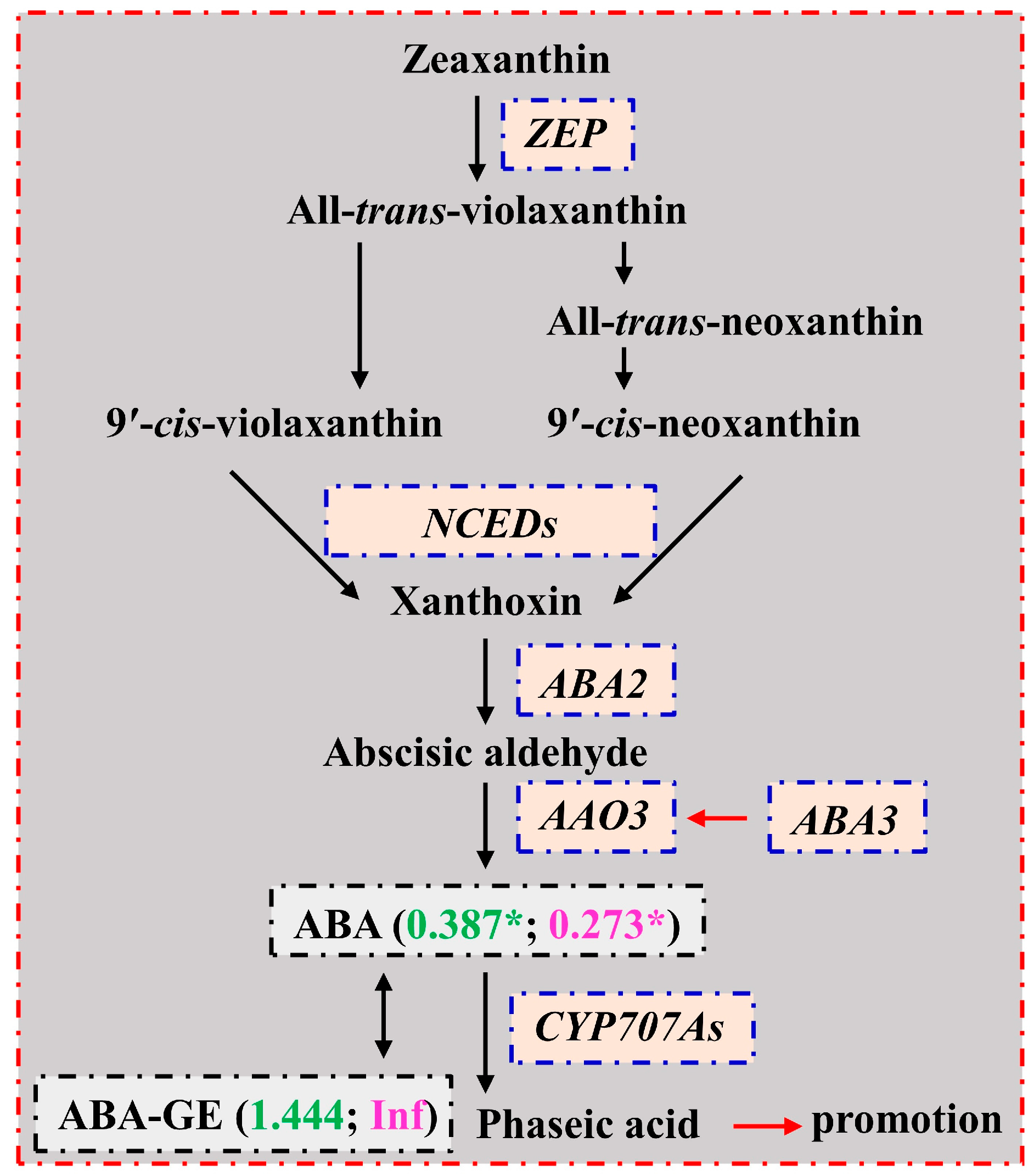 Plants 13 01925 g007
