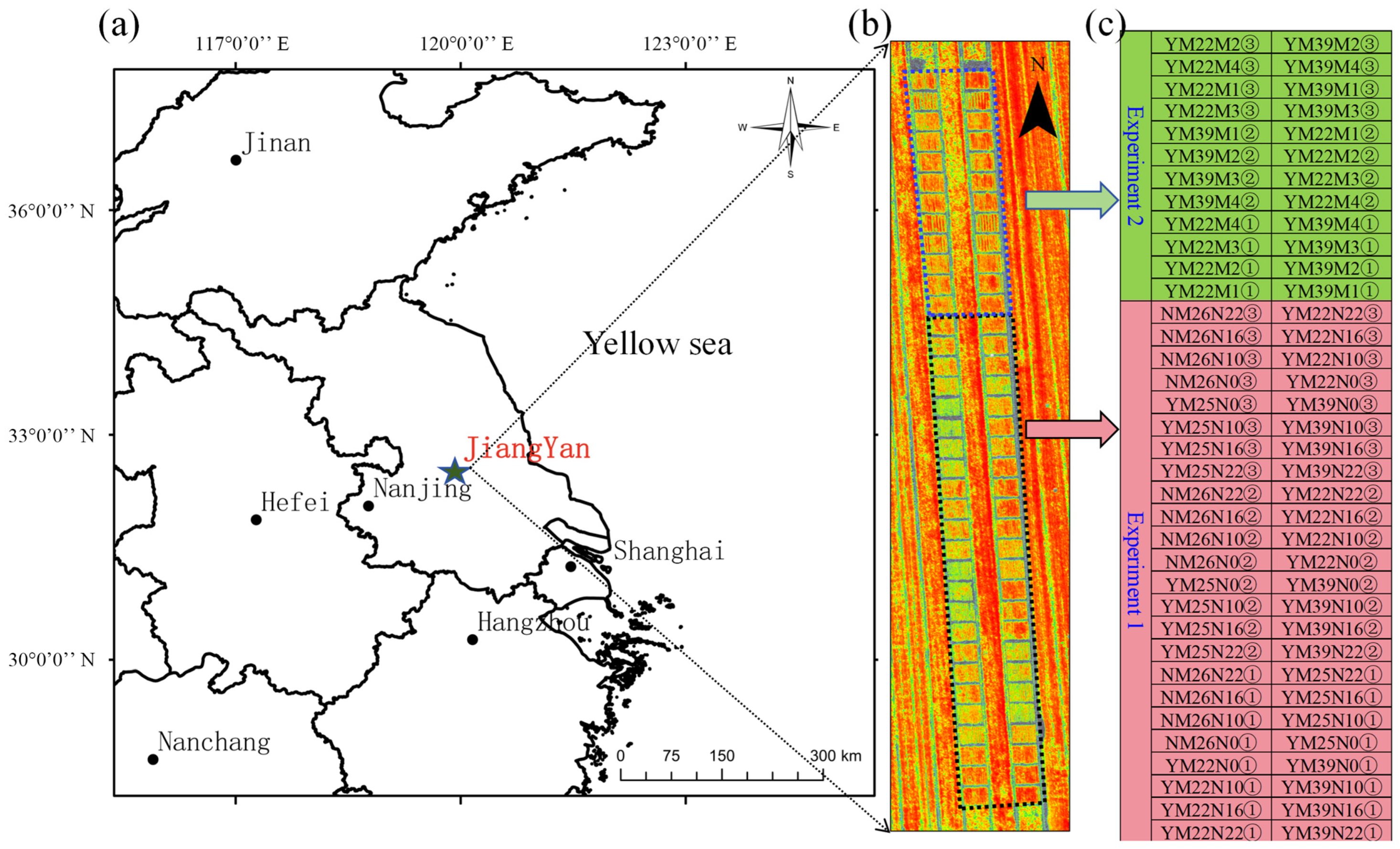 Plants 13 01926 g001 Plants 13 01926 g001