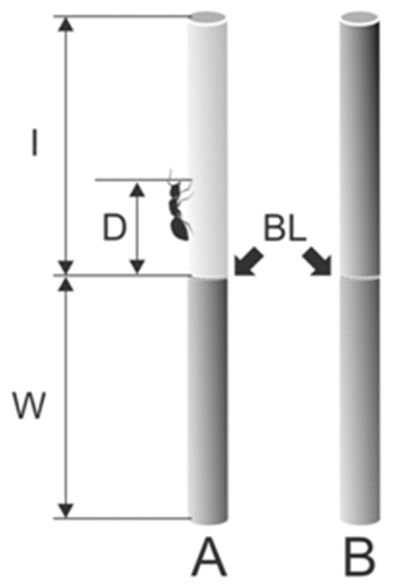 Plants 13 01932 g002