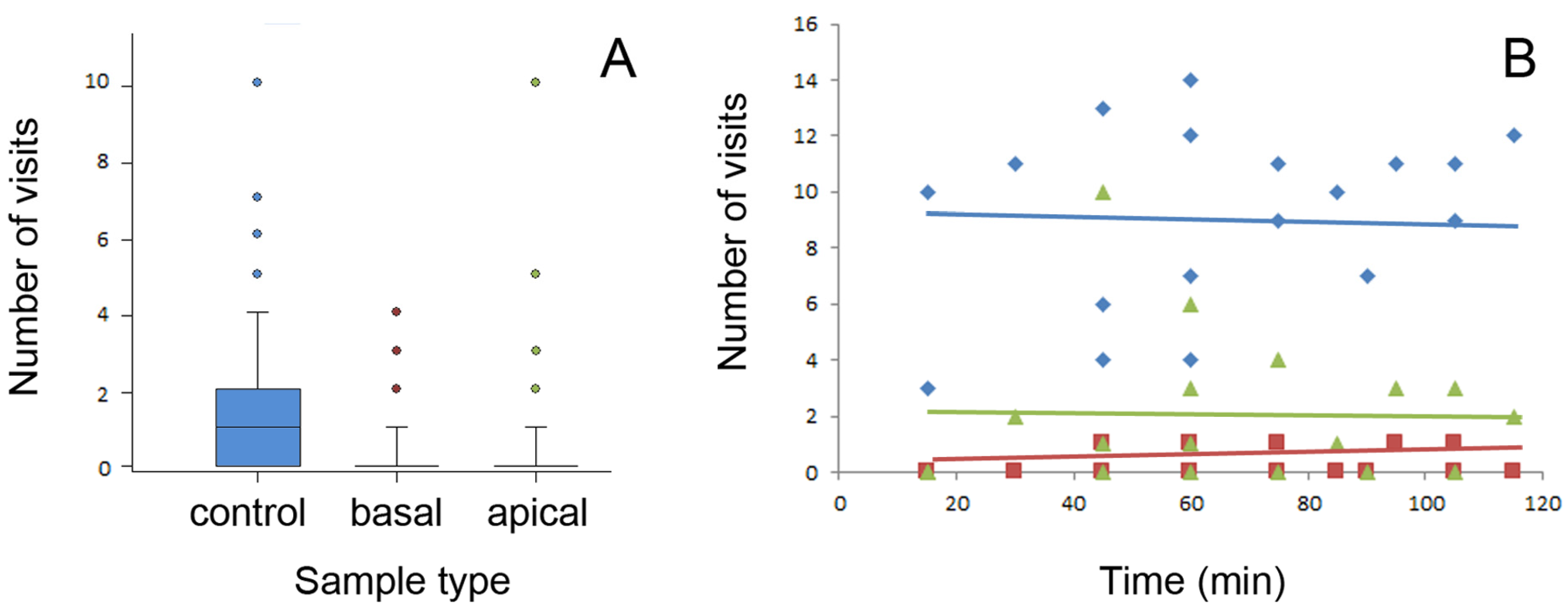 Plants 13 01932 g004