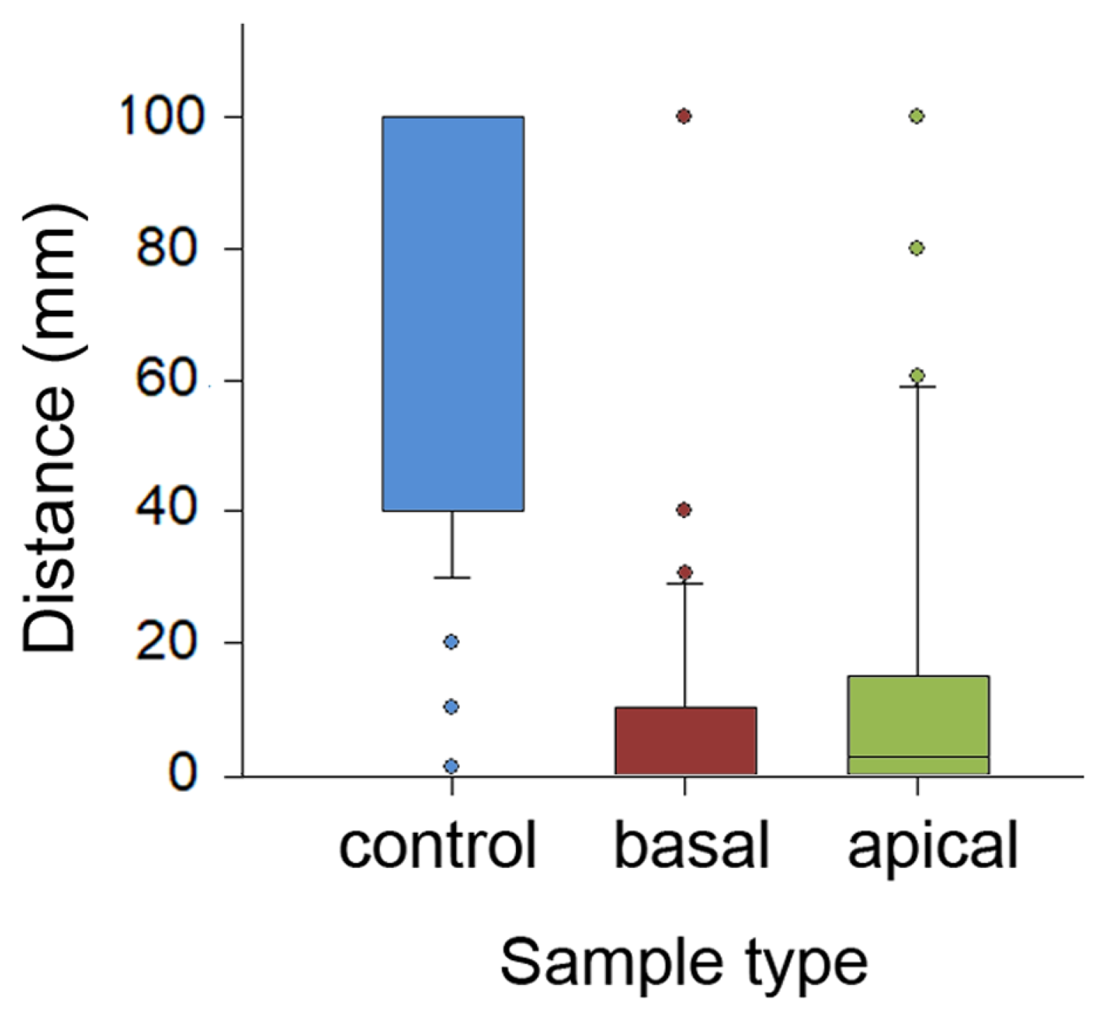 Plants 13 01932 g005