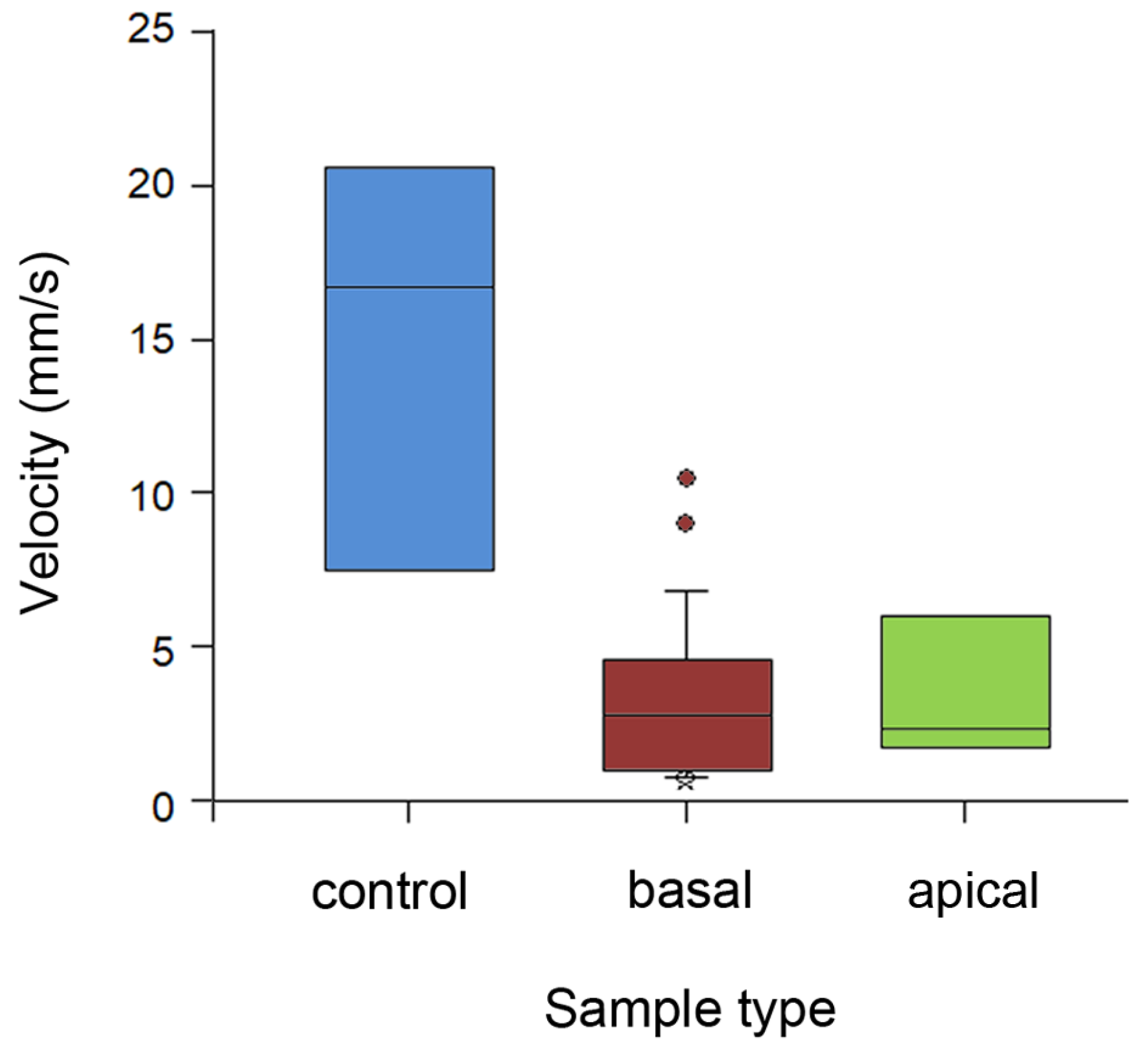 Plants 13 01932 g006