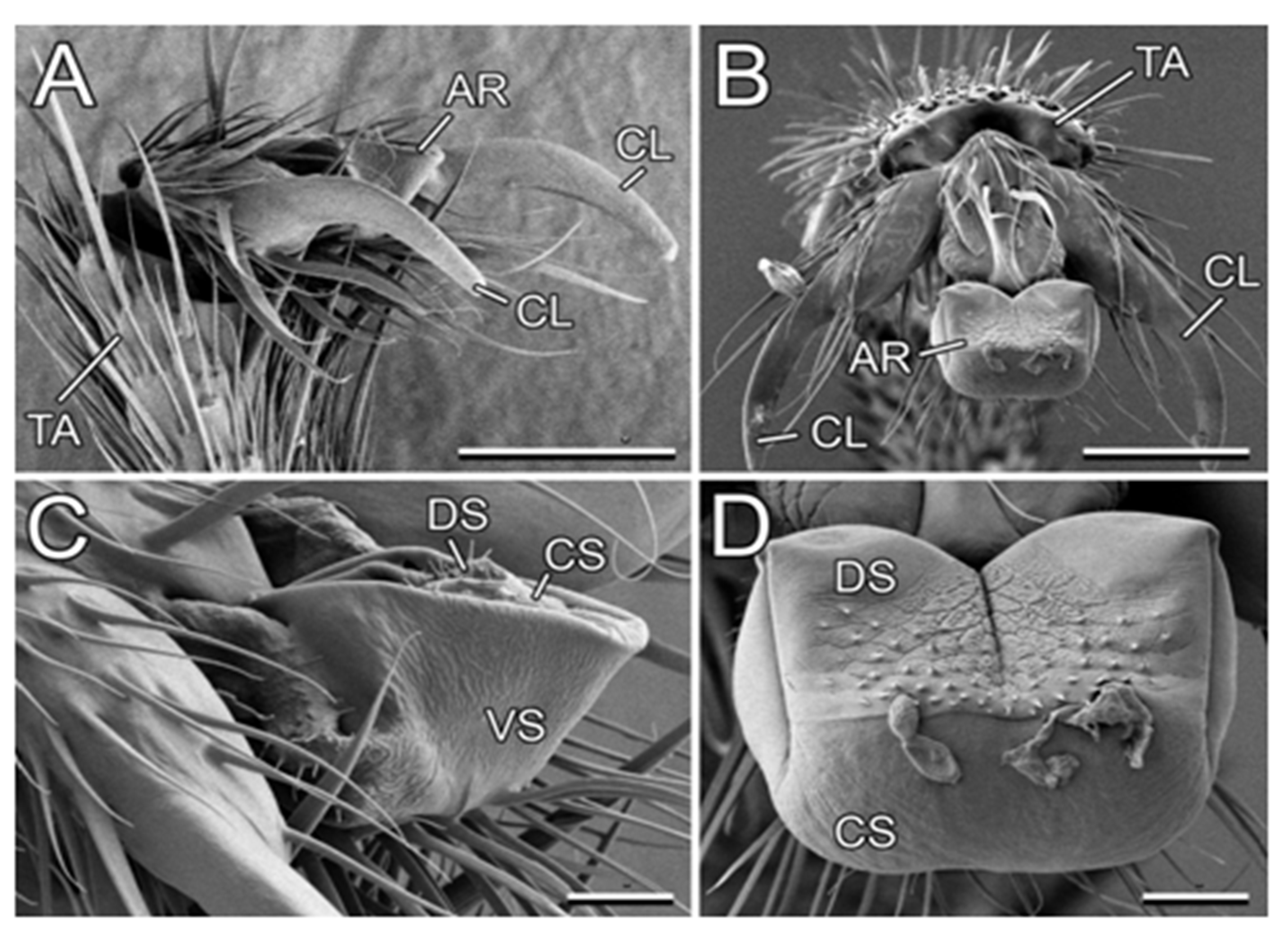 Plants 13 01932 g007