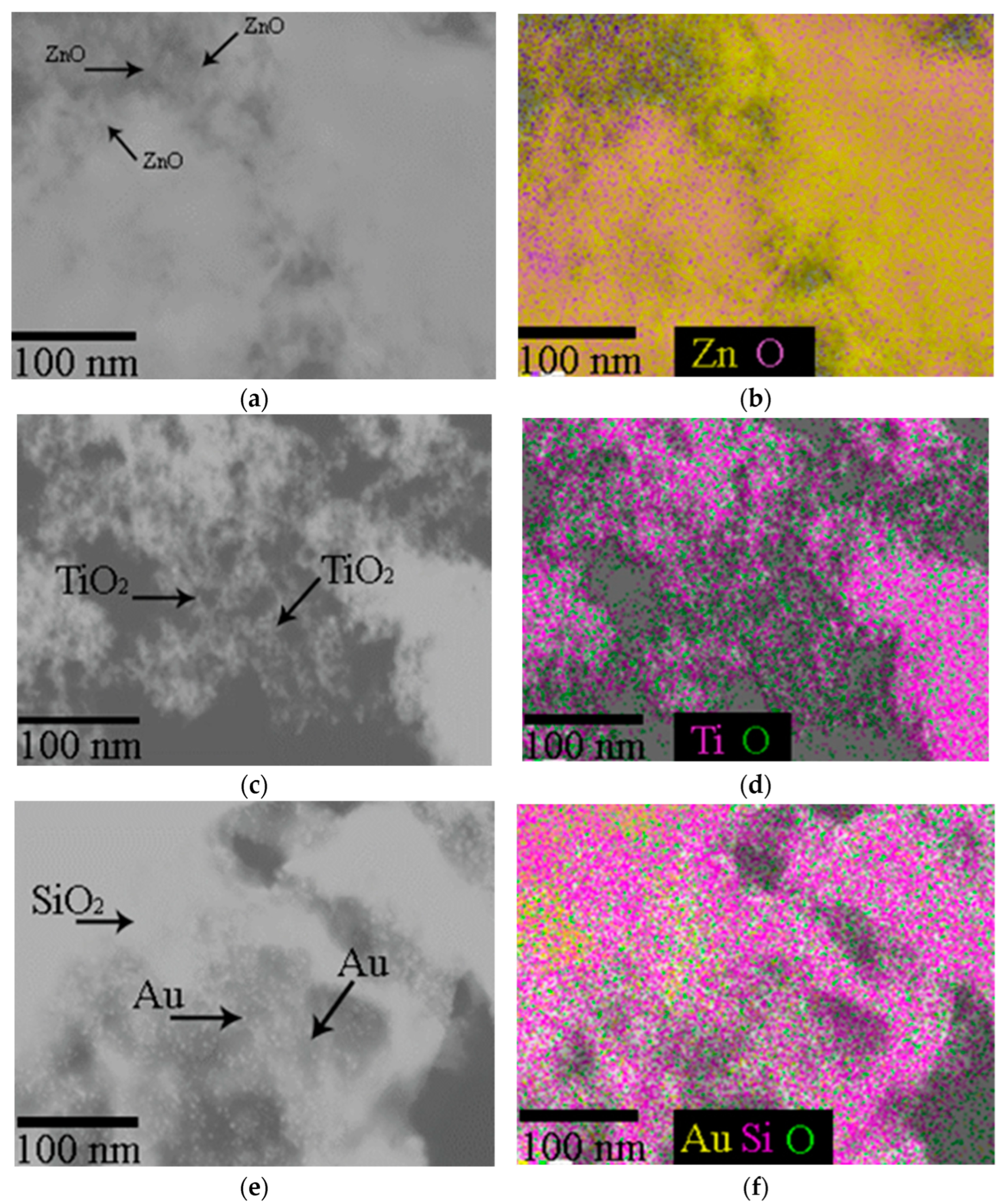 Plants 13 01936 g002