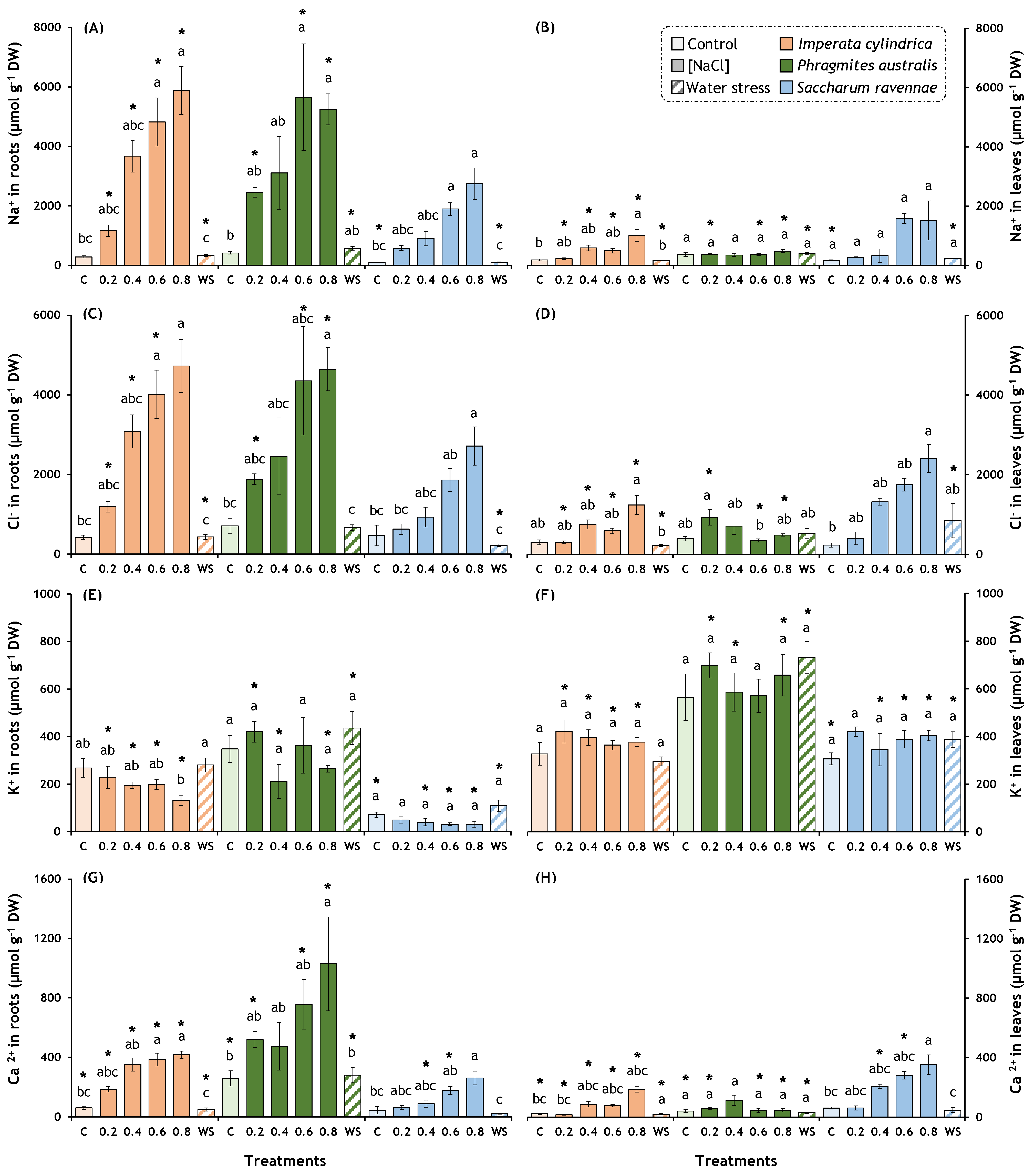 Plants 13 01939 g003