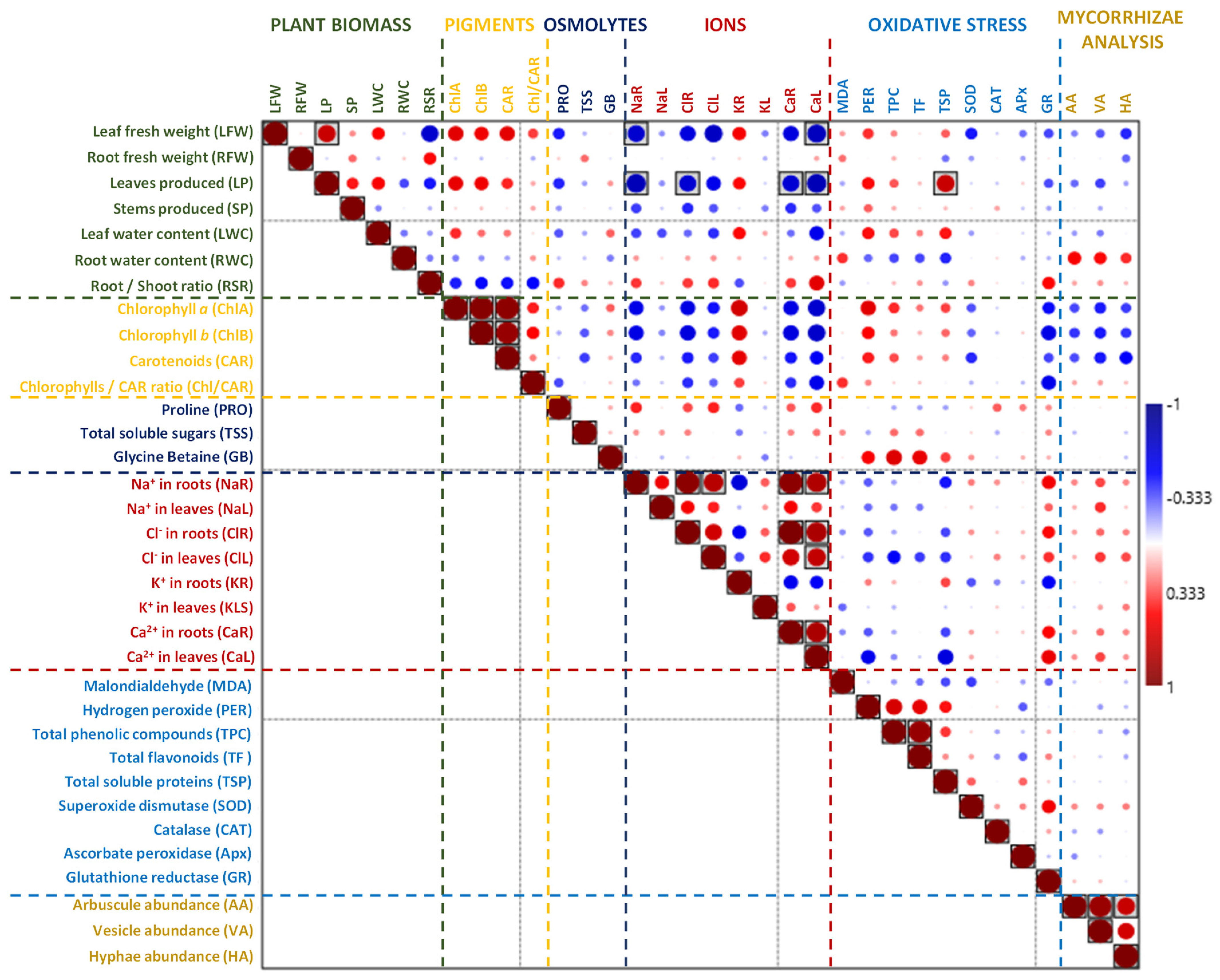 Plants 13 01939 g009