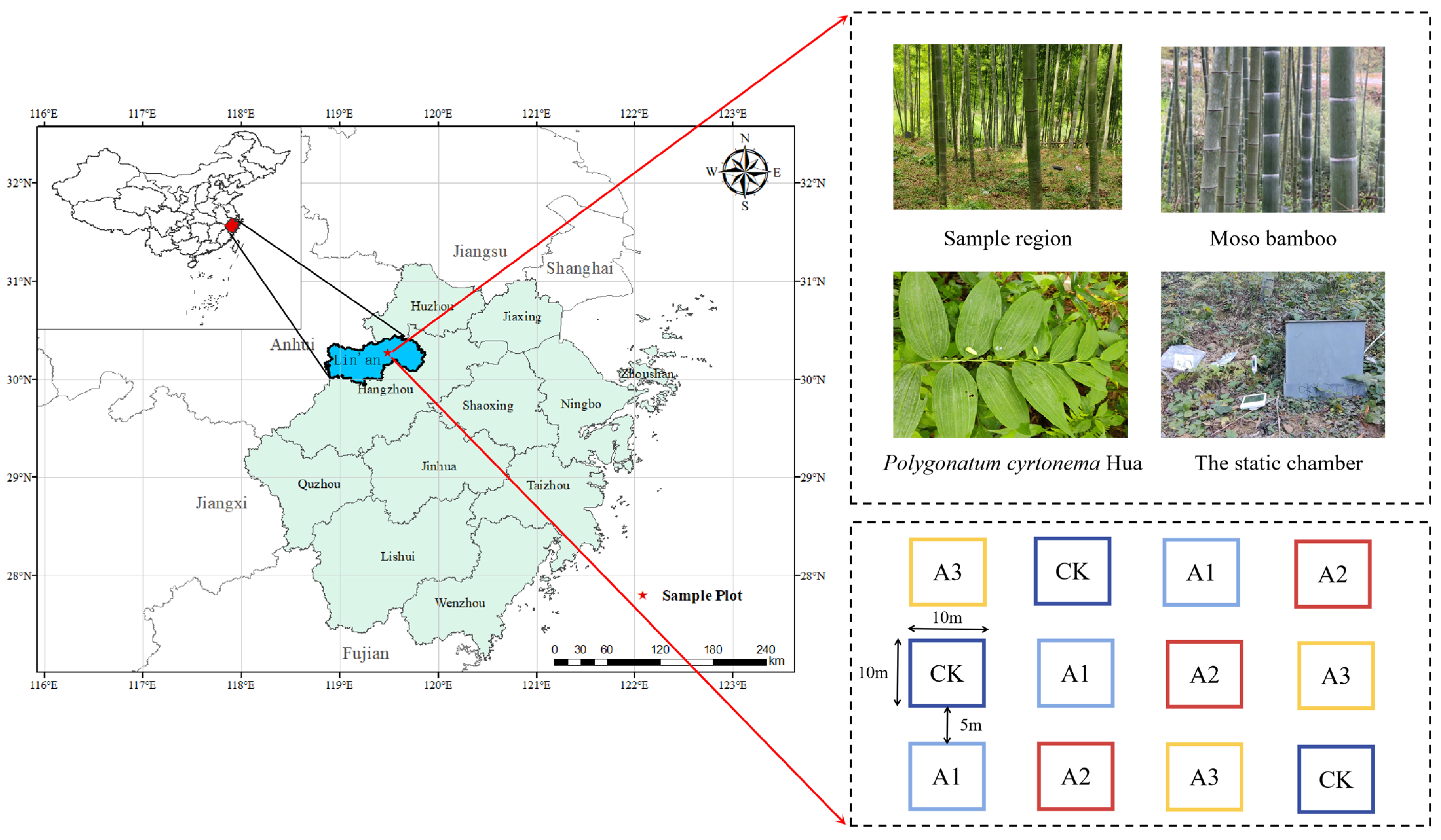 Plants 13 01941 g007